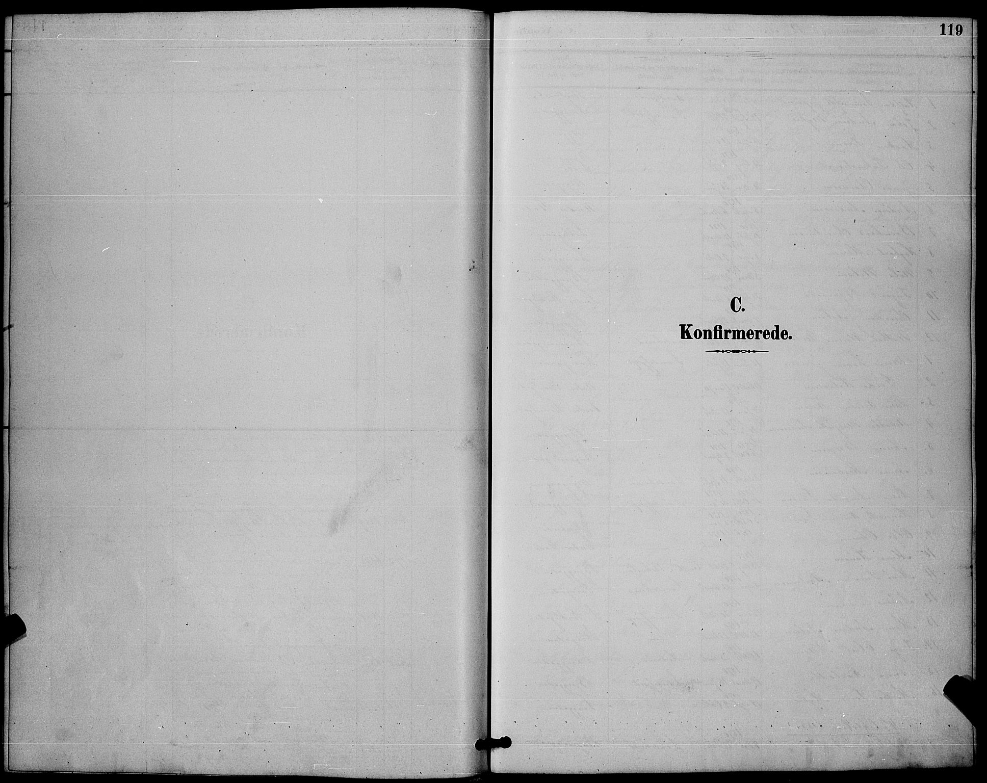 Sandefjord kirkebøker, SAKO/A-315/G/Ga/L0001: Parish register (copy) no. 1, 1885-1903, p. 119