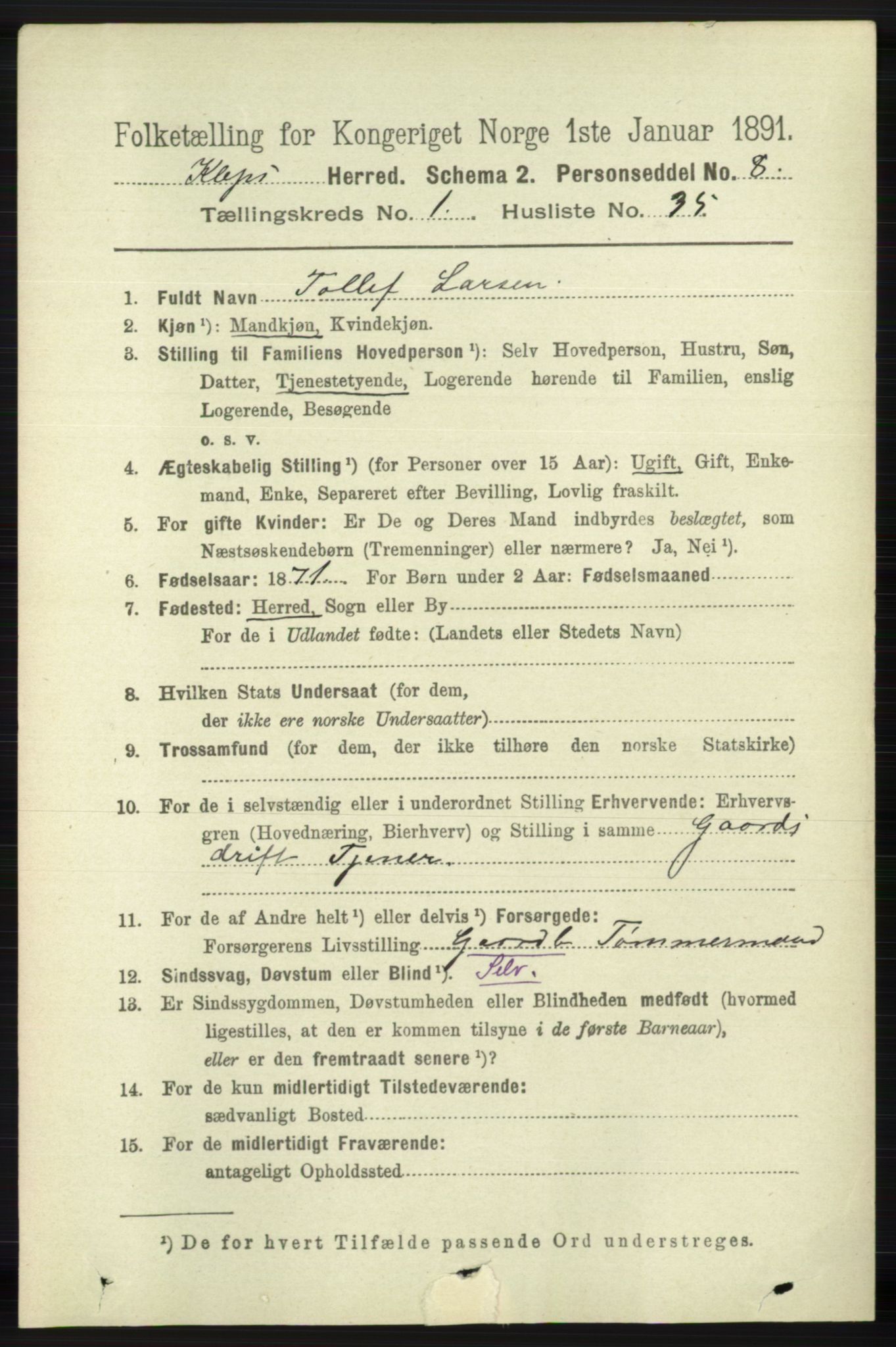 RA, 1891 census for 1120 Klepp, 1891, p. 305