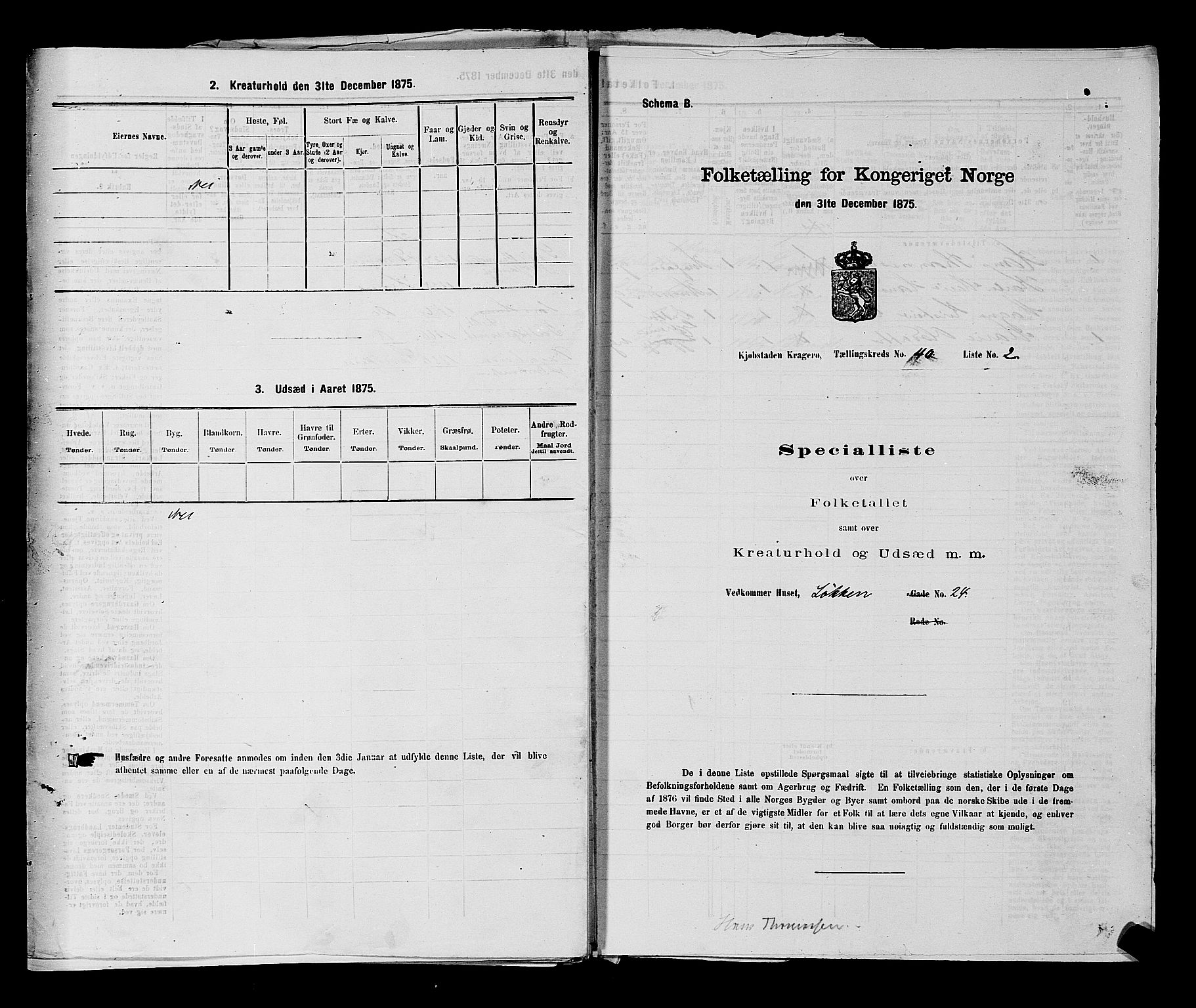 SAKO, 1875 census for 0801P Kragerø, 1875, p. 872