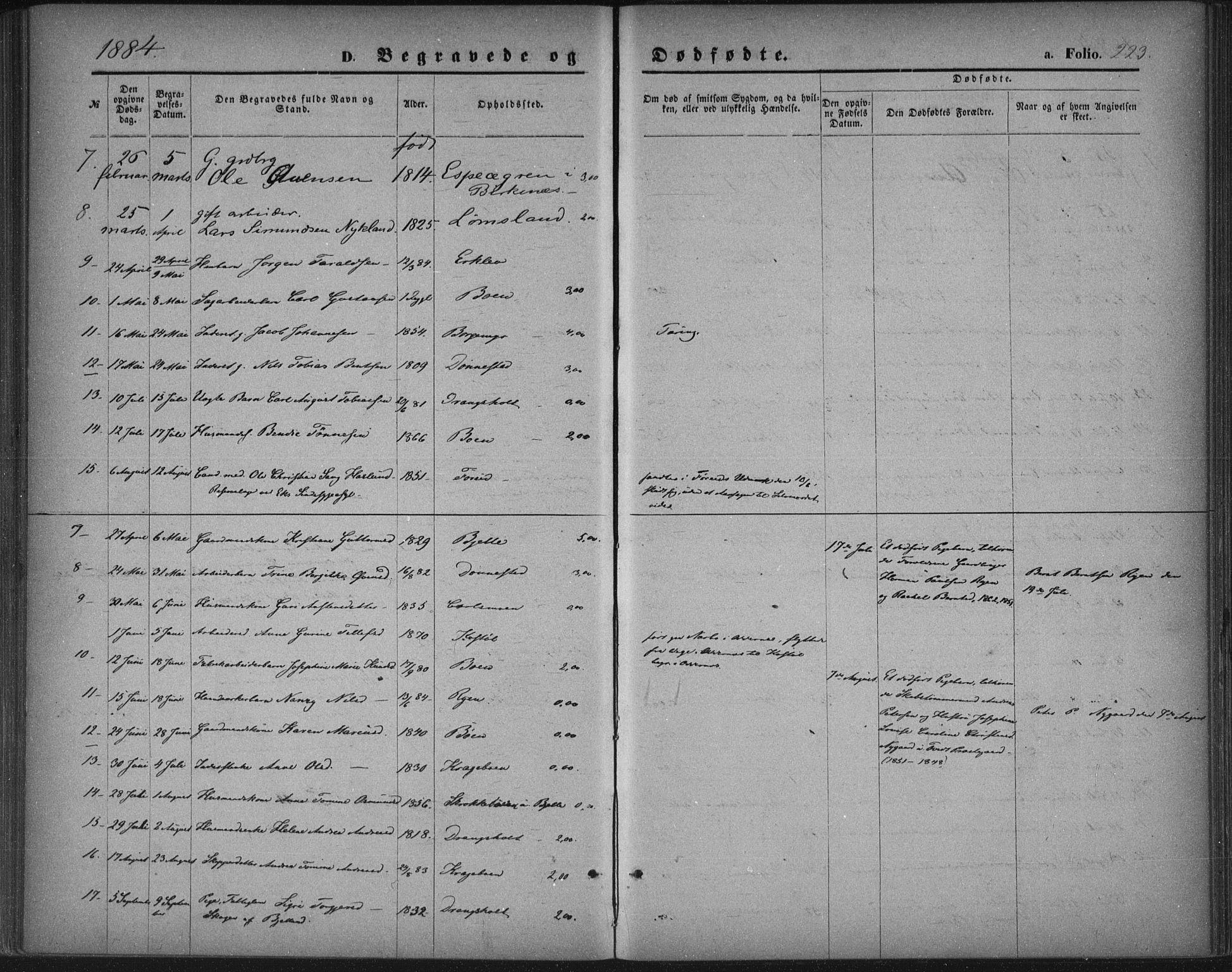 Tveit sokneprestkontor, AV/SAK-1111-0043/F/Fa/L0006: Parish register (official) no. A 6, 1872-1886, p. 223