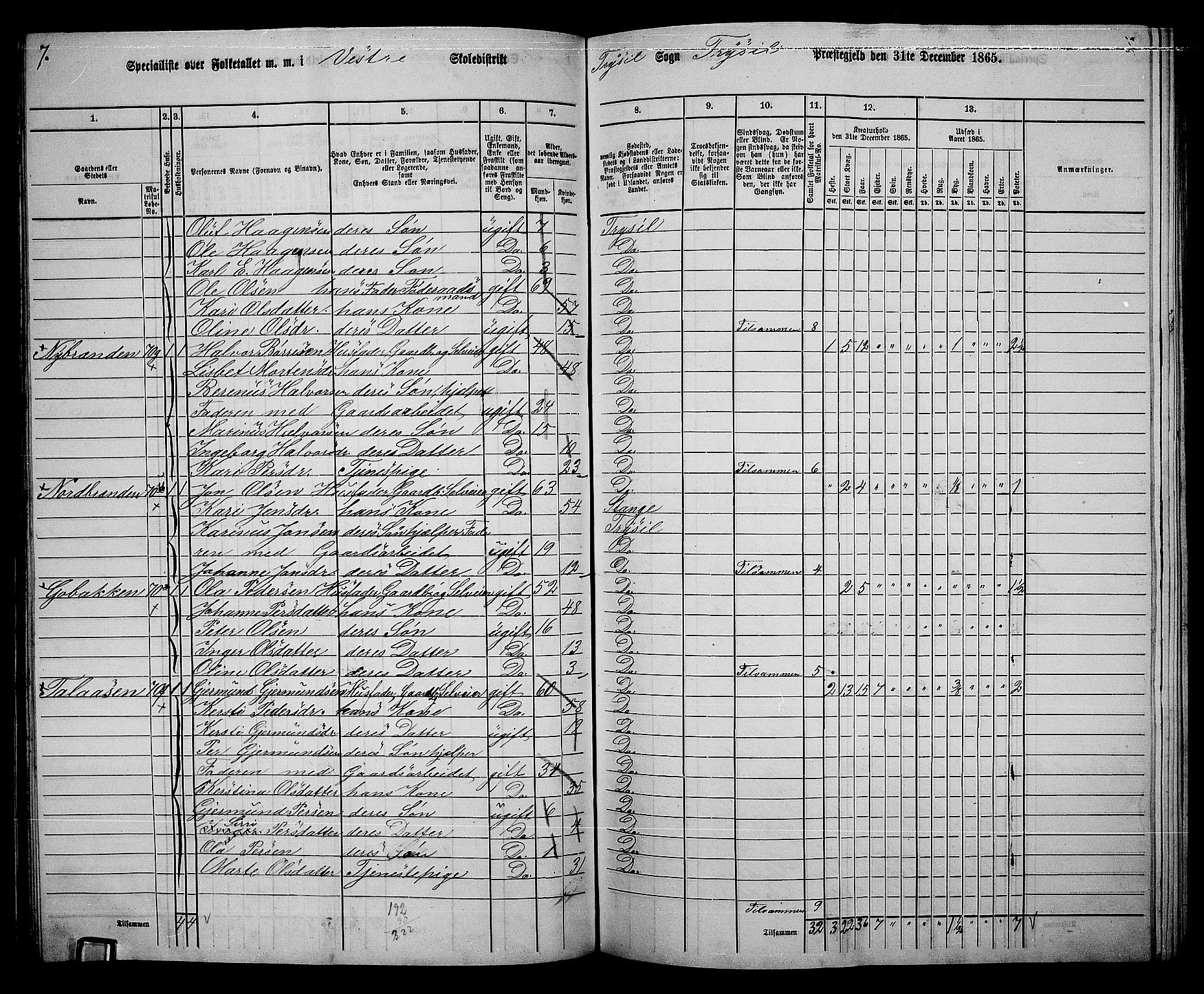 RA, 1865 census for Trysil, 1865, p. 79