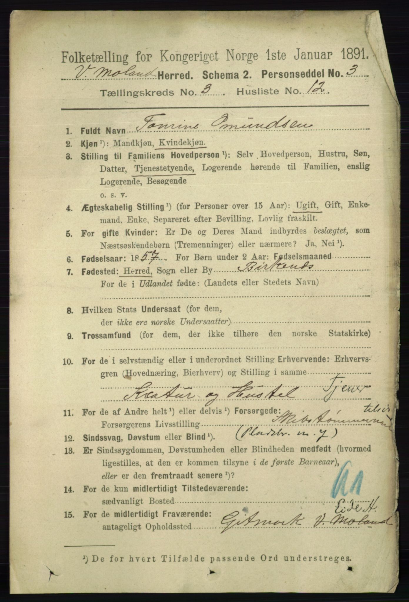 RA, 1891 census for 0926 Vestre Moland, 1891, p. 1019