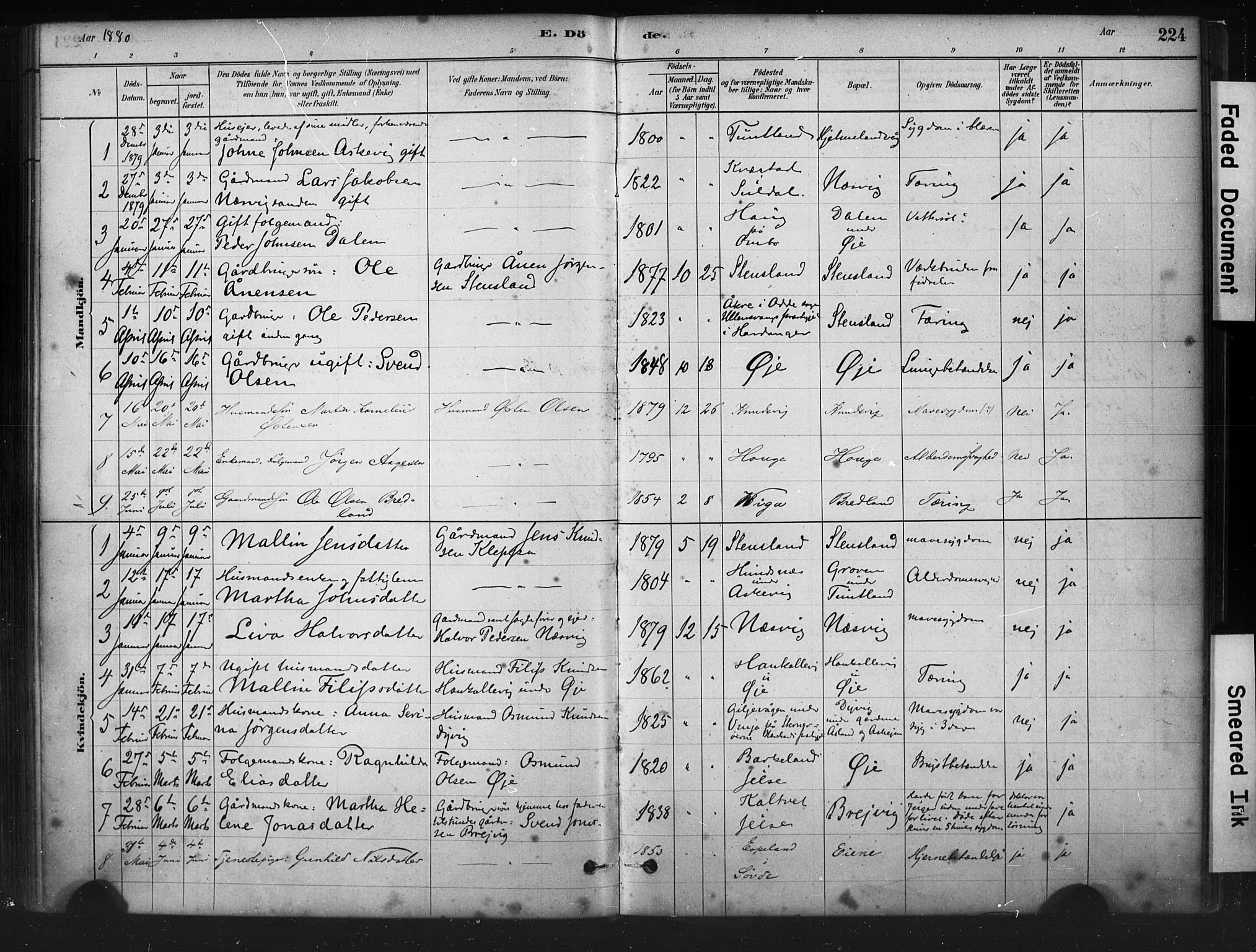 Hjelmeland sokneprestkontor, AV/SAST-A-101843/01/IV/L0014: Parish register (official) no. A 14, 1879-1900, p. 224