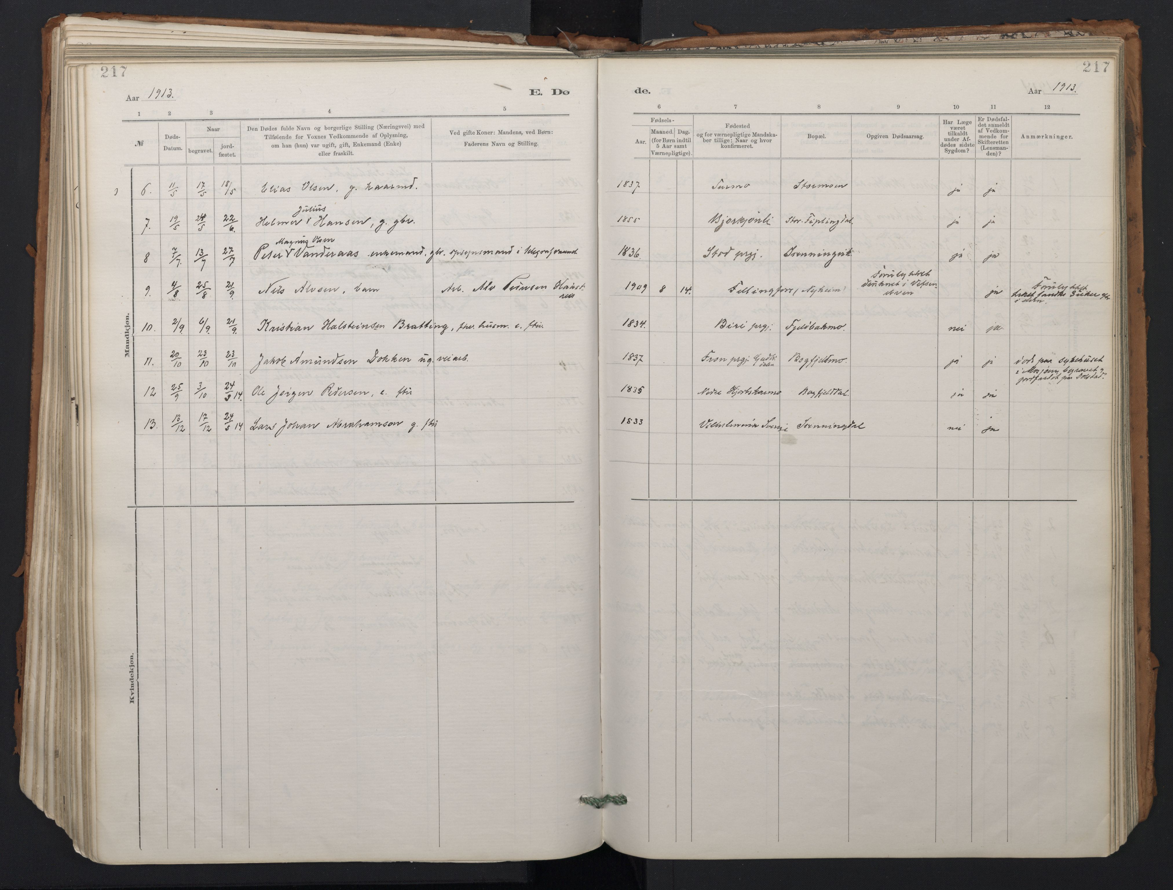 Ministerialprotokoller, klokkerbøker og fødselsregistre - Nordland, AV/SAT-A-1459/824/L0338: Parish register (official) no. 824A01, 1880-1915, p. 217