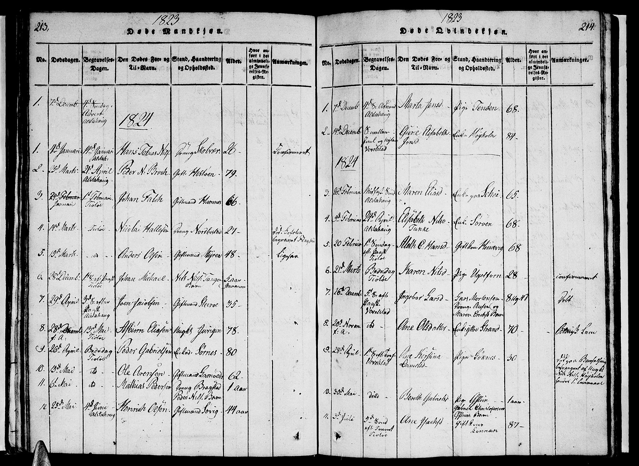 Ministerialprotokoller, klokkerbøker og fødselsregistre - Nordland, AV/SAT-A-1459/830/L0457: Parish register (copy) no. 830C01 /1, 1820-1842, p. 213-214