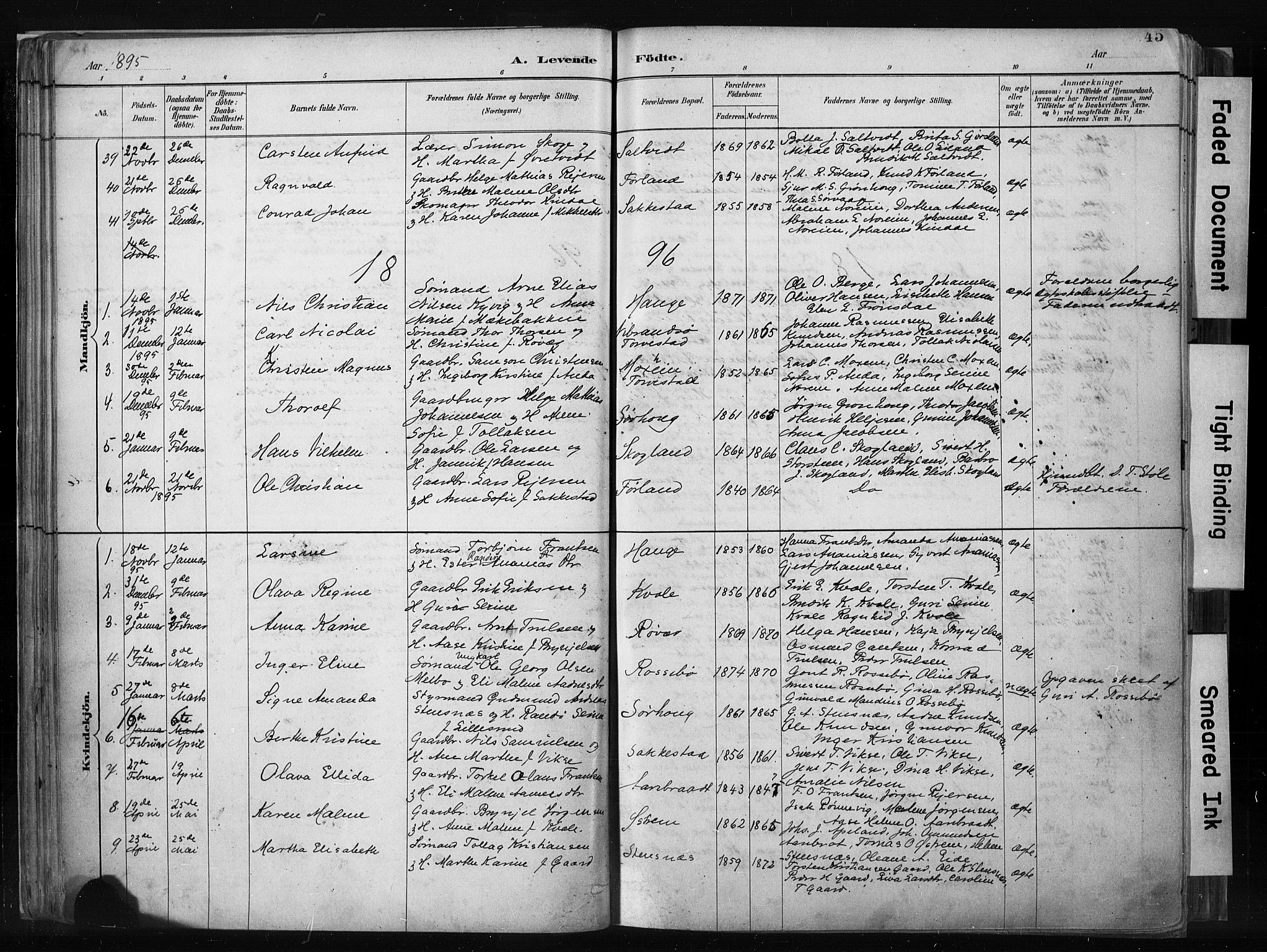 Haugesund sokneprestkontor, SAST/A -101863/H/Ha/Haa/L0004: Parish register (official) no. A 4, 1886-1908, p. 45