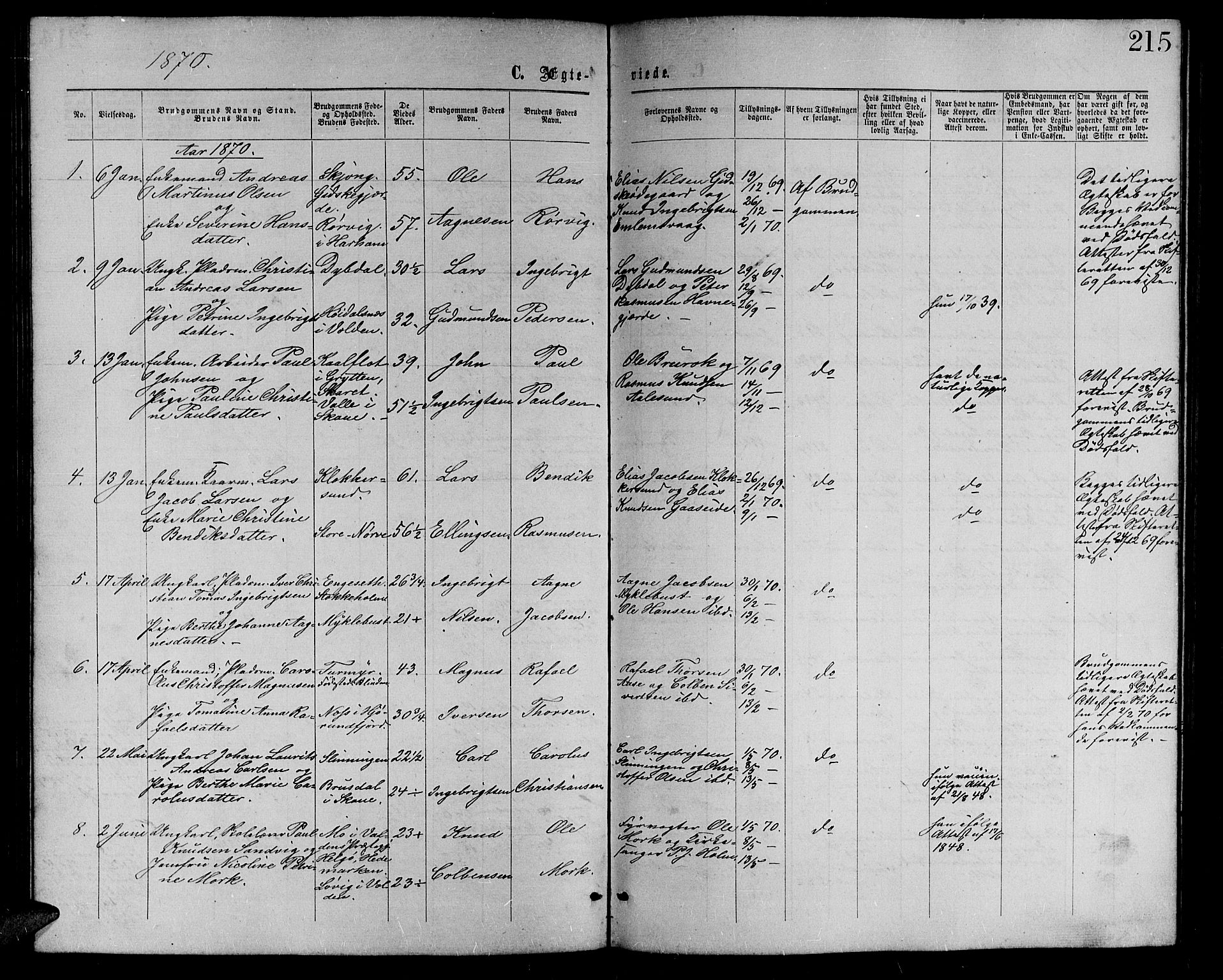 Ministerialprotokoller, klokkerbøker og fødselsregistre - Møre og Romsdal, AV/SAT-A-1454/528/L0428: Parish register (copy) no. 528C09, 1864-1880, p. 215