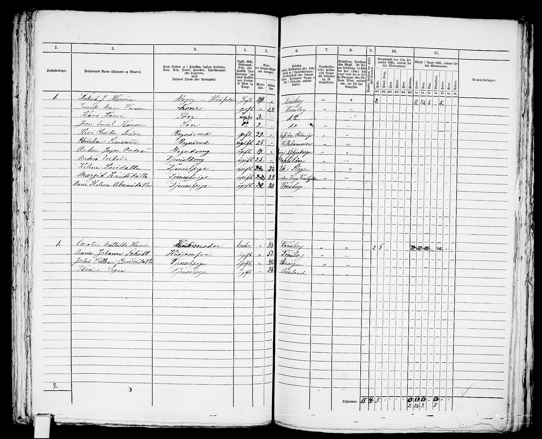 RA, 1865 census for Tønsberg, 1865, p. 593