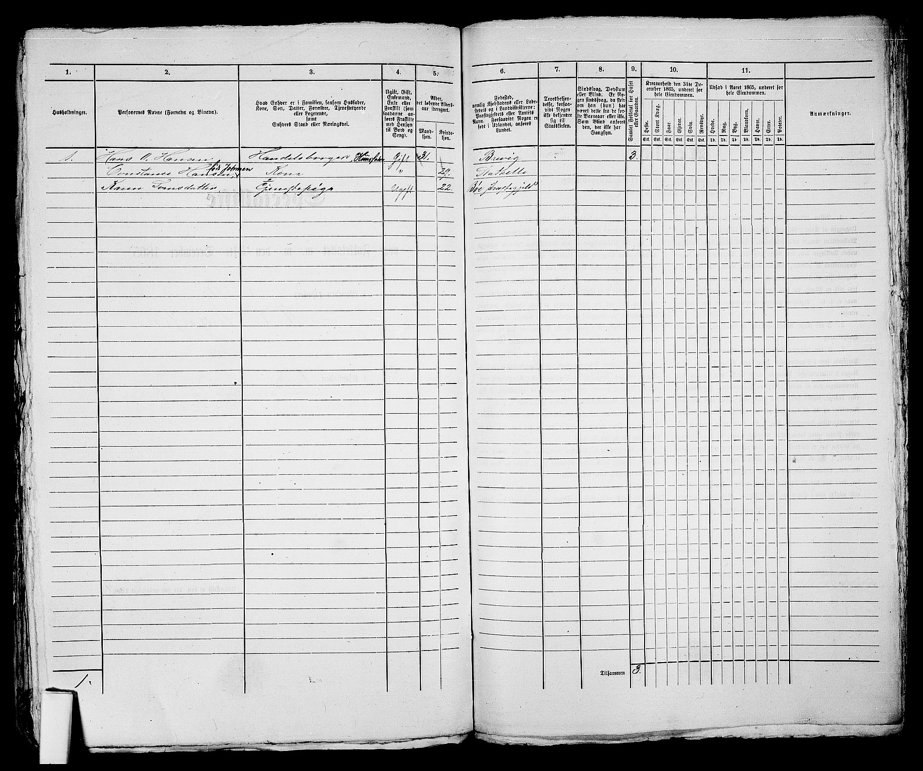 RA, 1865 census for Skien, 1865, p. 369