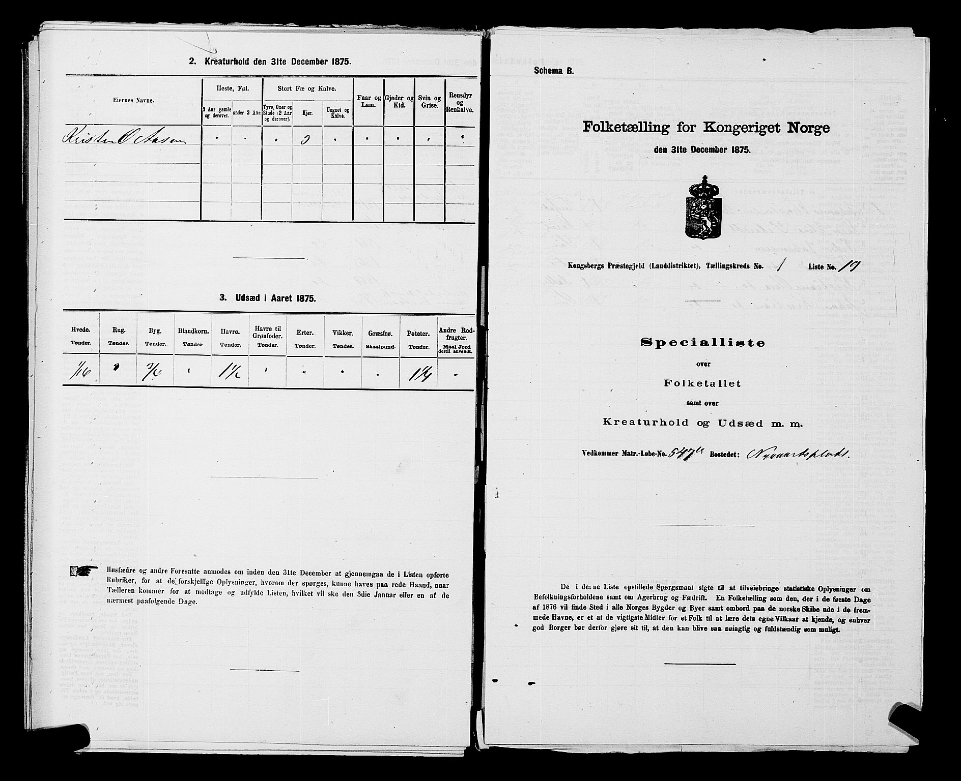 SAKO, 1875 census for 0692L Kongsberg/Kongsberg, 1875, p. 51