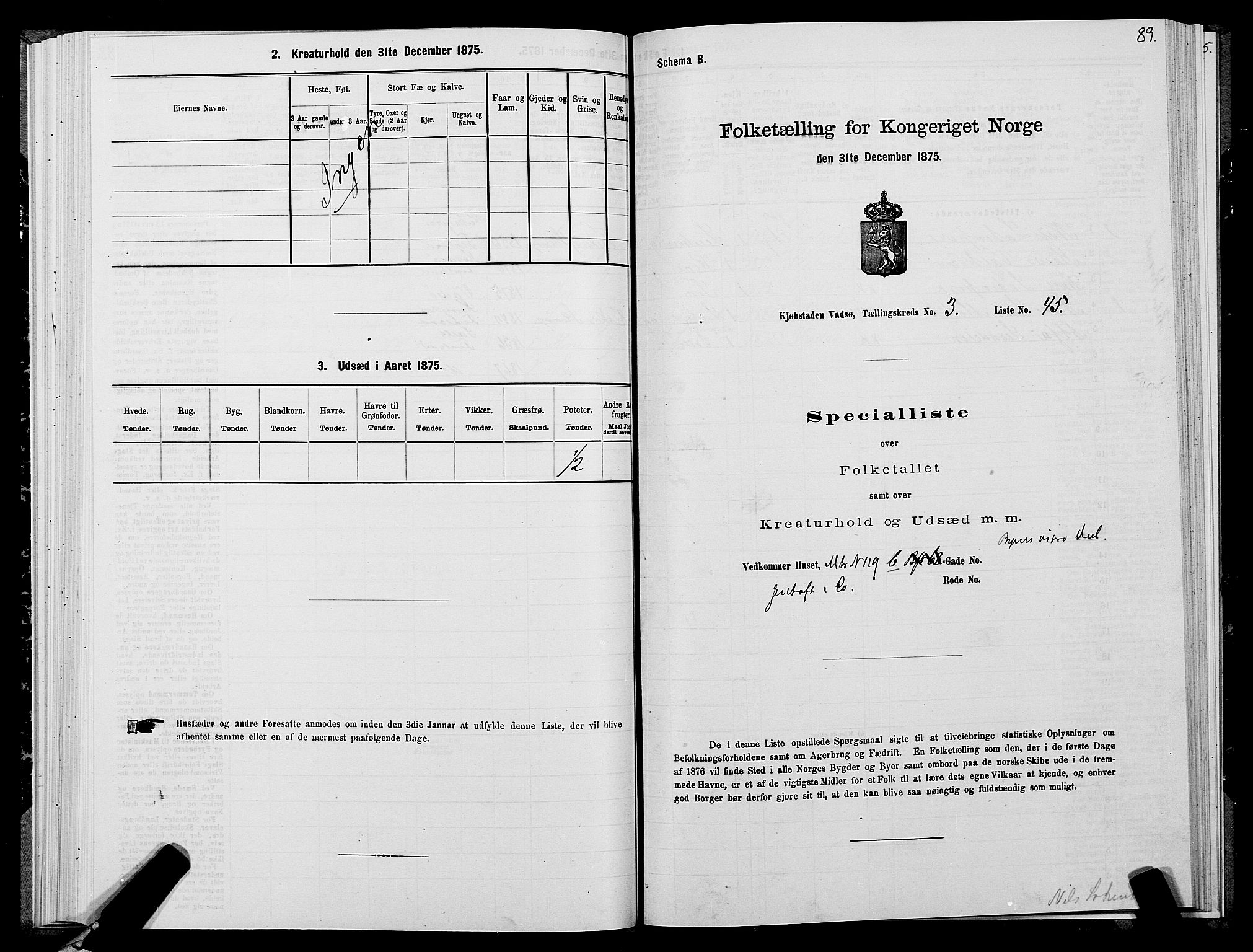 SATØ, 1875 census for 2003B Vadsø/Vadsø, 1875, p. 2089