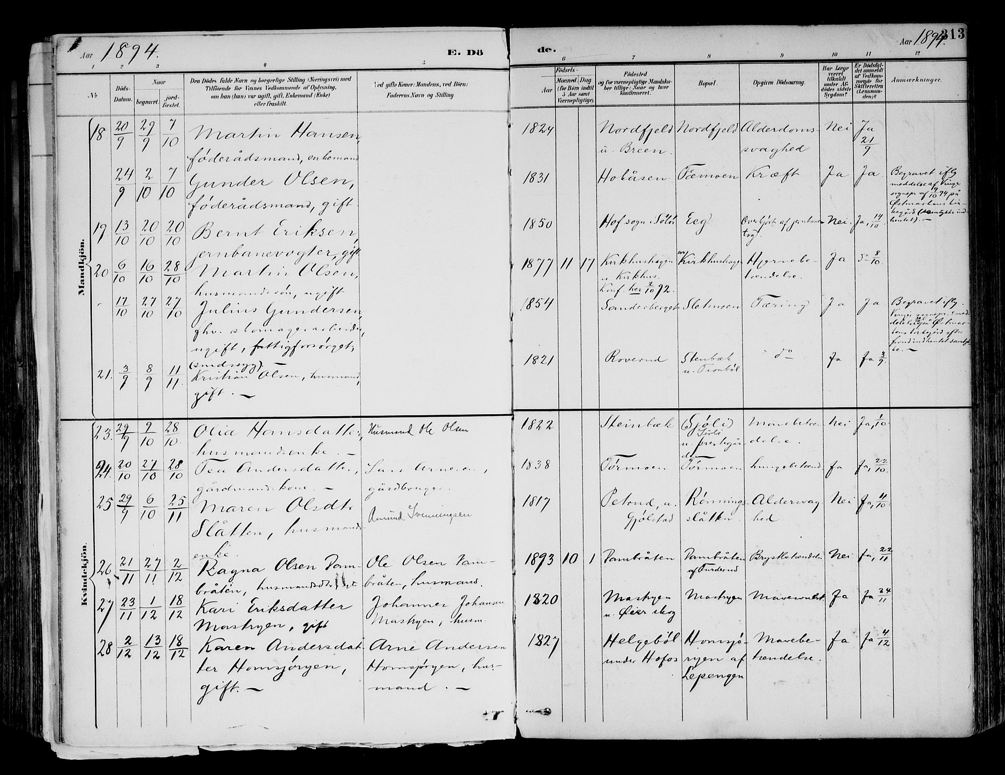 Brandval prestekontor, SAH/PREST-034/H/Ha/Haa/L0003: Parish register (official) no. 3, 1894-1909, p. 313