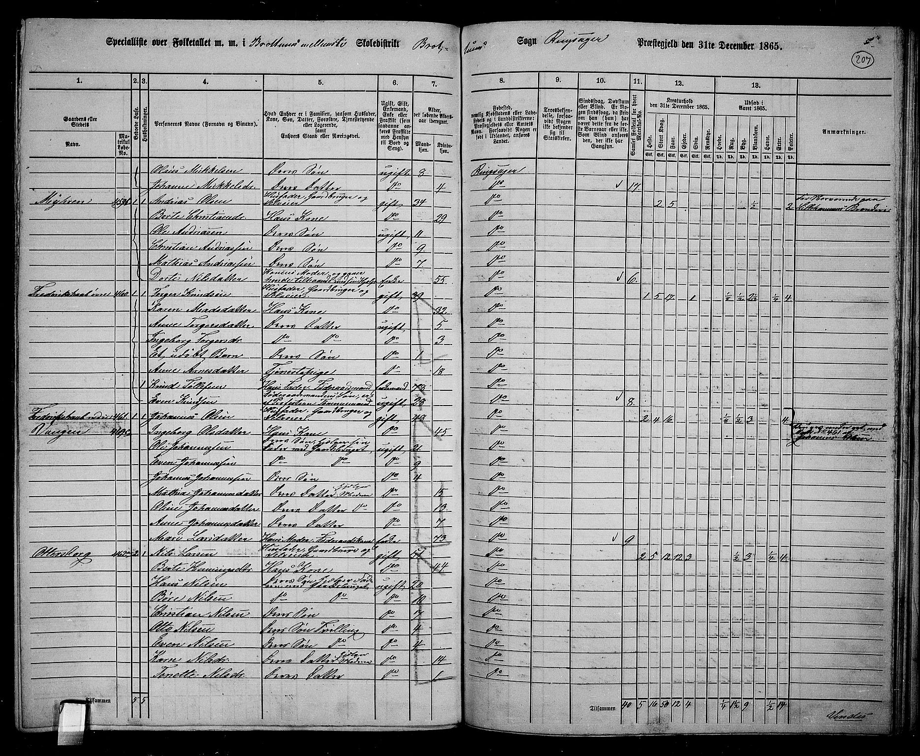 RA, 1865 census for Ringsaker, 1865, p. 446