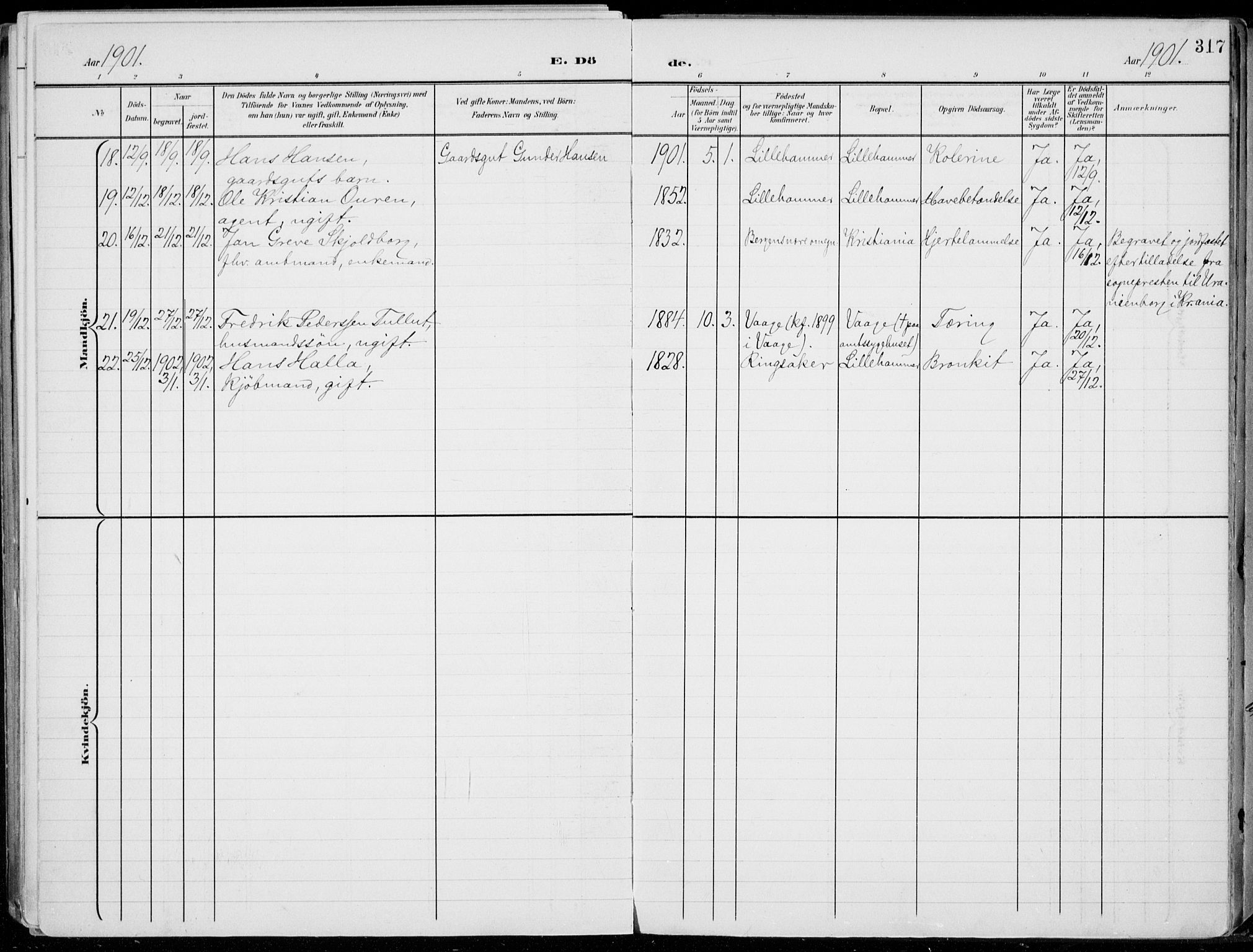 Lillehammer prestekontor, SAH/PREST-088/H/Ha/Haa/L0001: Parish register (official) no. 1, 1901-1916, p. 317