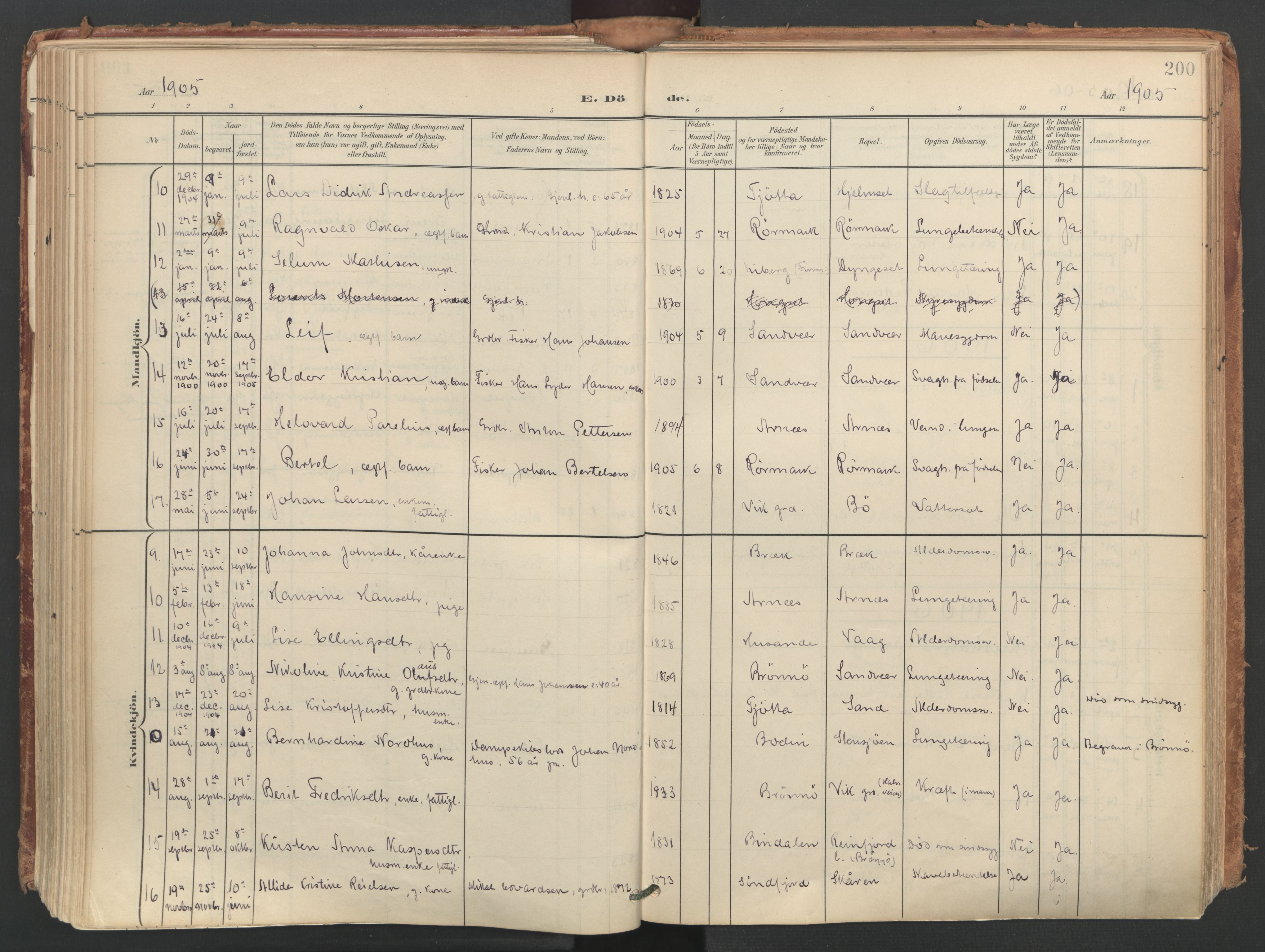 Ministerialprotokoller, klokkerbøker og fødselsregistre - Nordland, AV/SAT-A-1459/812/L0180: Parish register (official) no. 812A09, 1901-1915, p. 200