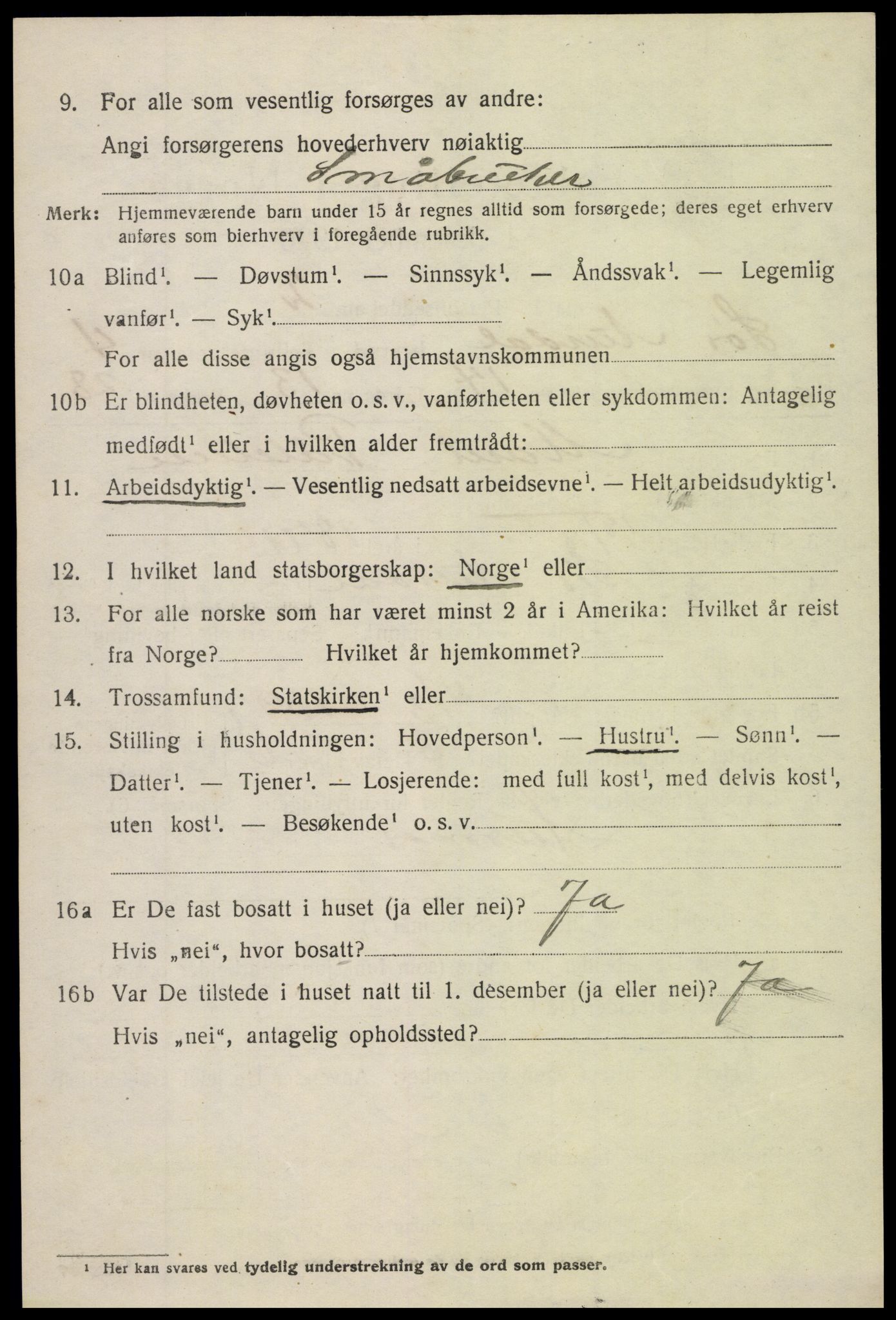 SAH, 1920 census for Sør-Aurdal, 1920, p. 2474