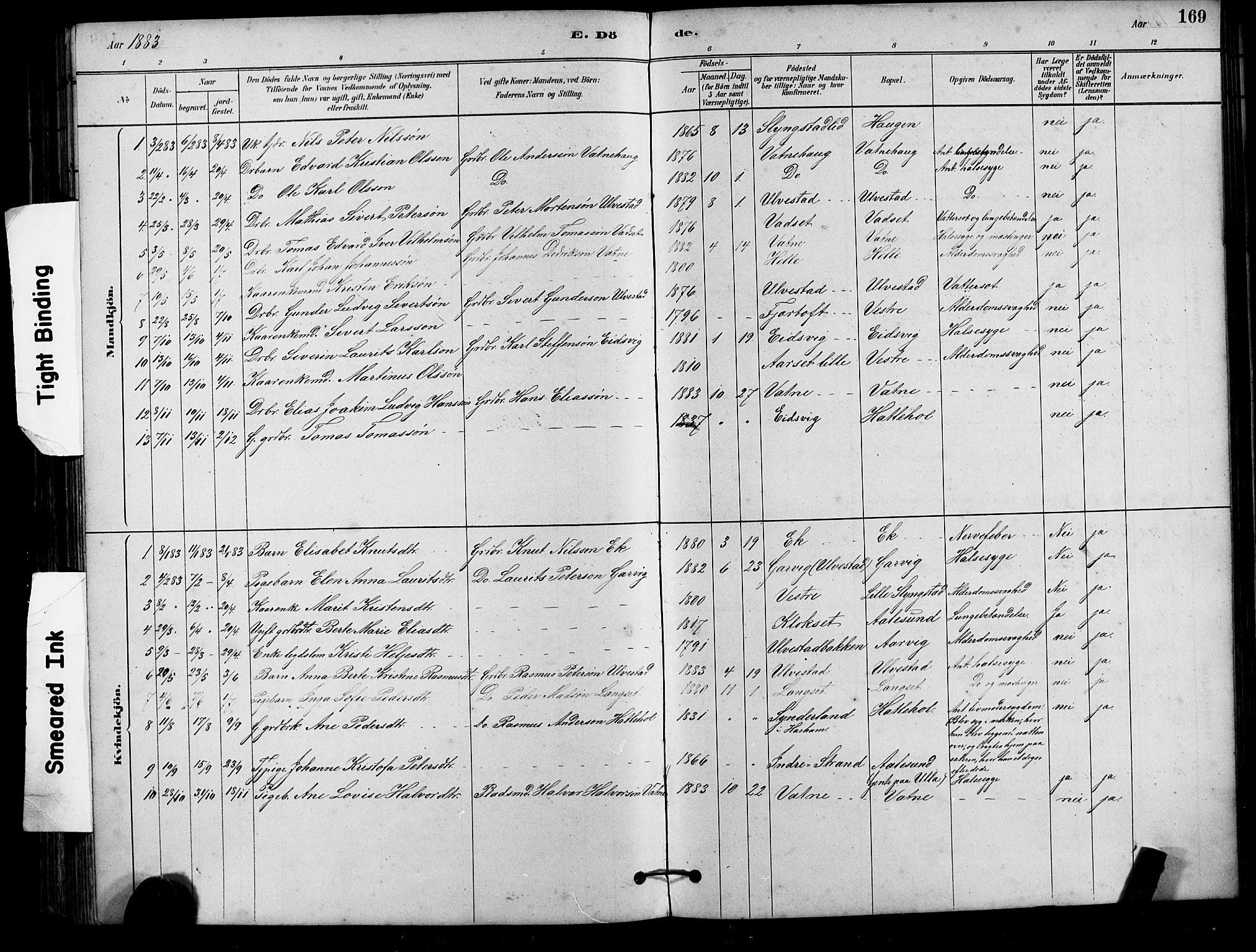 Ministerialprotokoller, klokkerbøker og fødselsregistre - Møre og Romsdal, AV/SAT-A-1454/525/L0376: Parish register (copy) no. 525C02, 1880-1902, p. 169