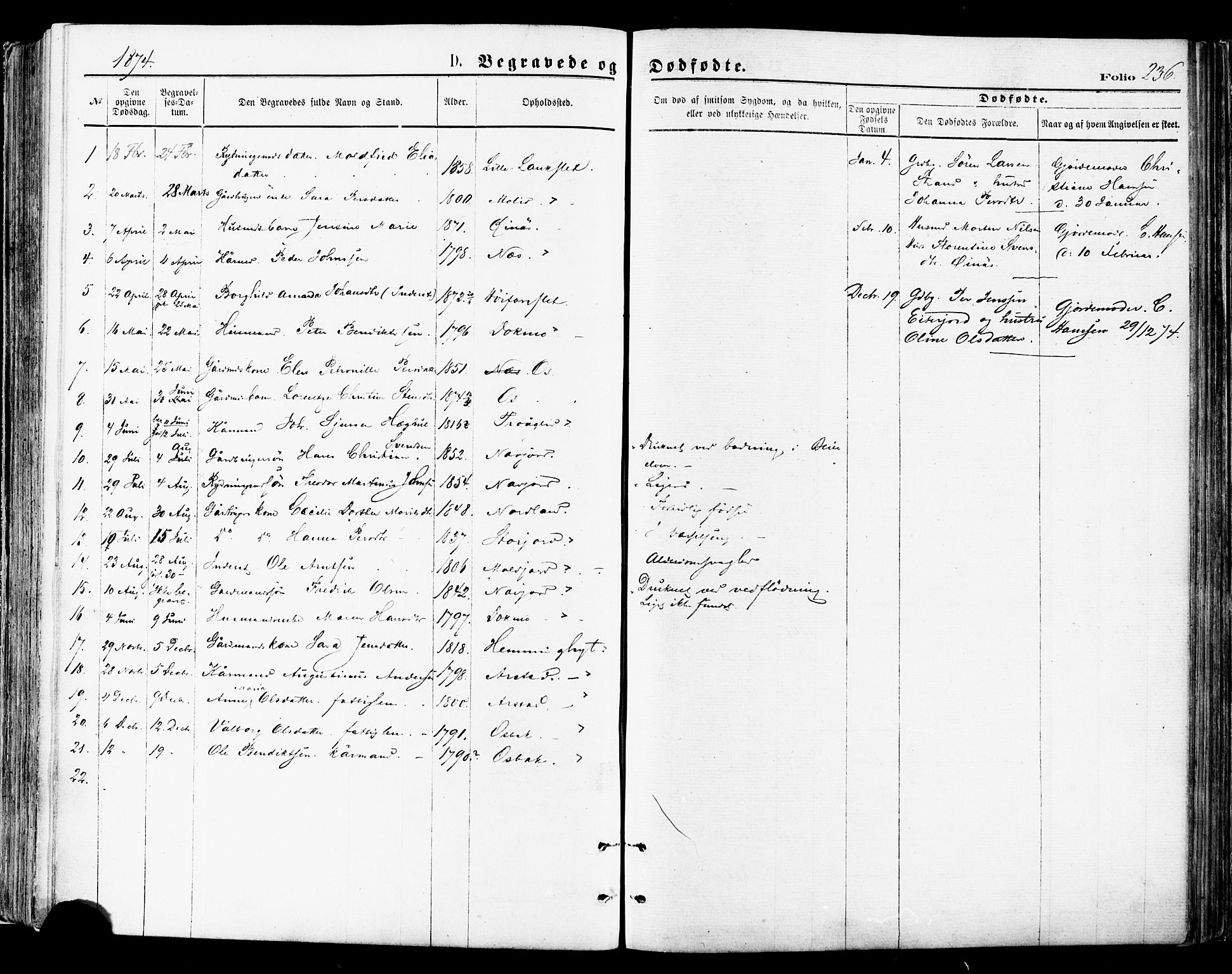 Ministerialprotokoller, klokkerbøker og fødselsregistre - Nordland, SAT/A-1459/846/L0645: Parish register (official) no. 846A03, 1872-1886, p. 236