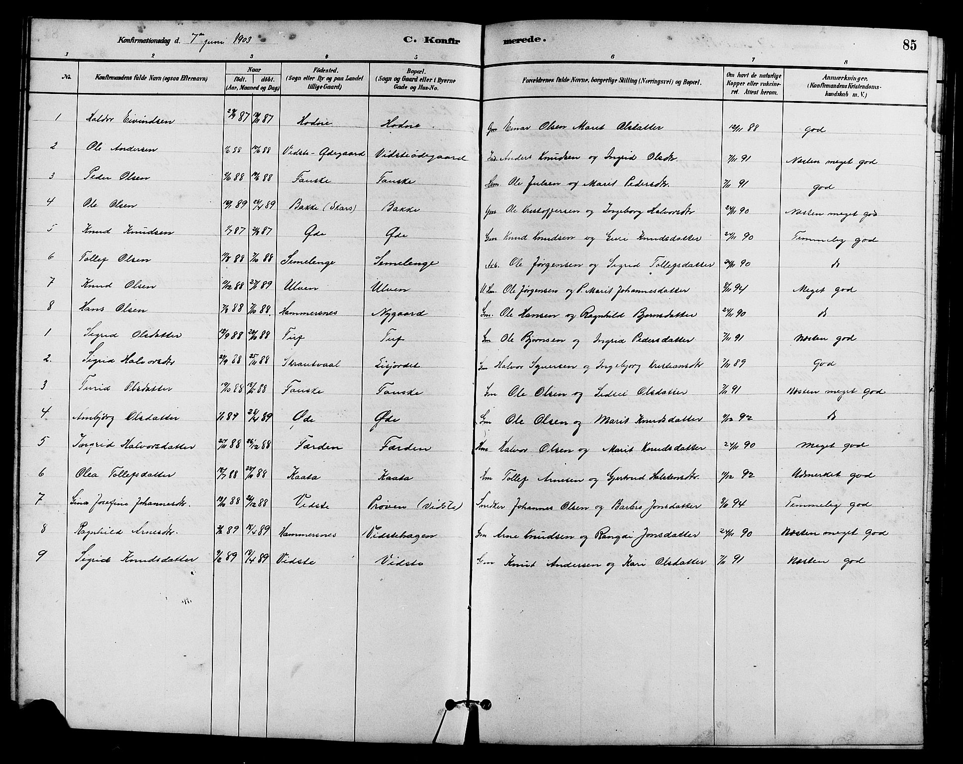 Vestre Slidre prestekontor, SAH/PREST-136/H/Ha/Hab/L0005: Parish register (copy) no. 5, 1881-1913, p. 85