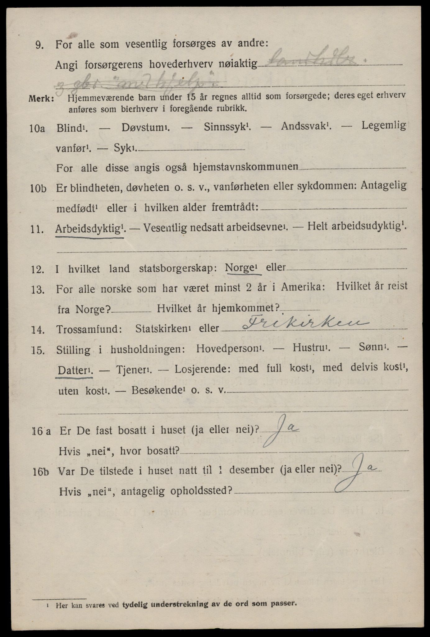 SAKO, 1920 census for Nissedal, 1920, p. 1266