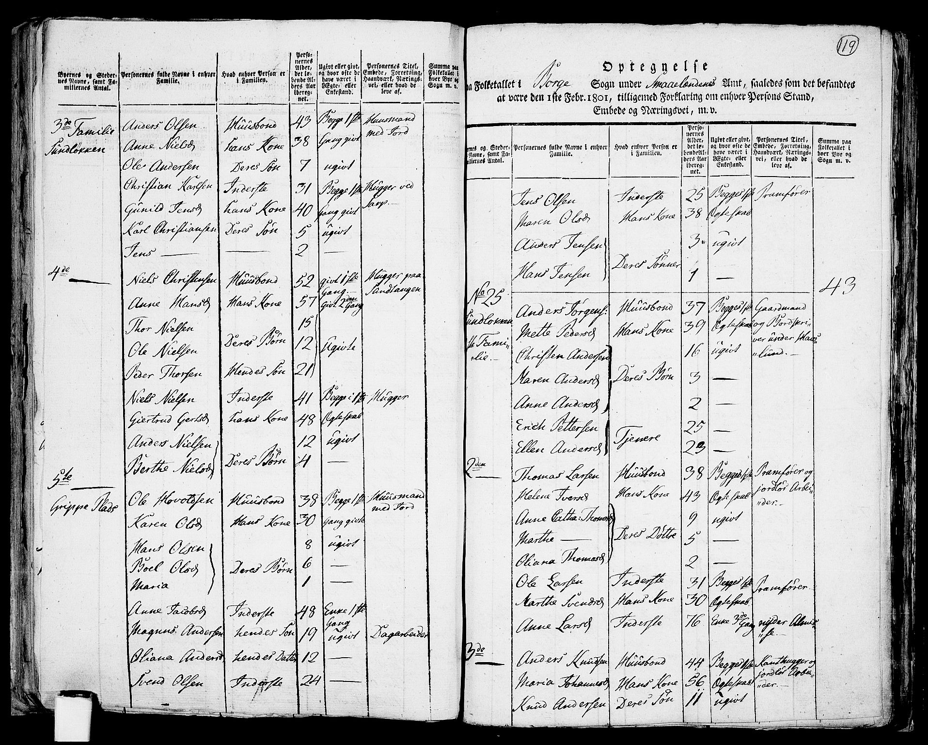 RA, 1801 census for 0113P Borge, 1801, p. 118b-119a