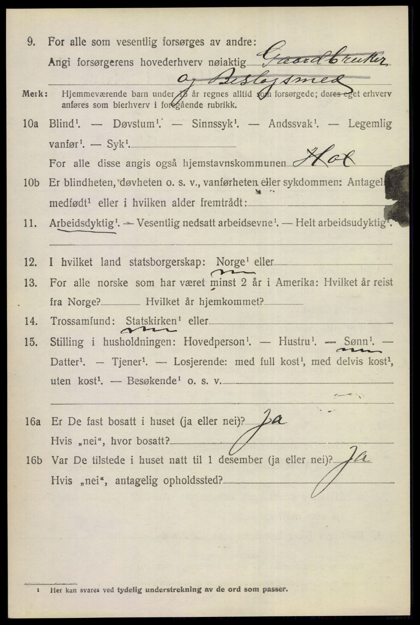 SAKO, 1920 census for Hol (Buskerud), 1920, p. 3798