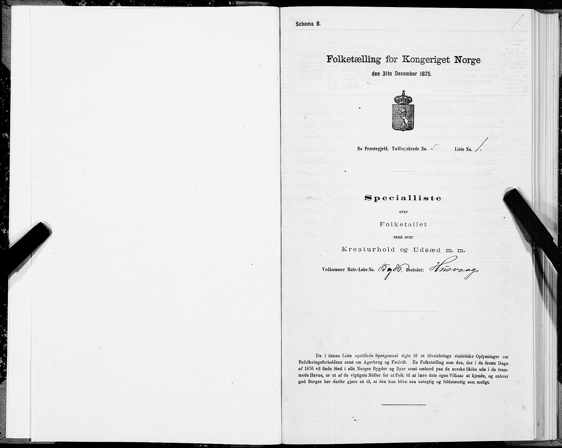 SAT, 1875 census for 1867P Bø, 1875, p. 3001