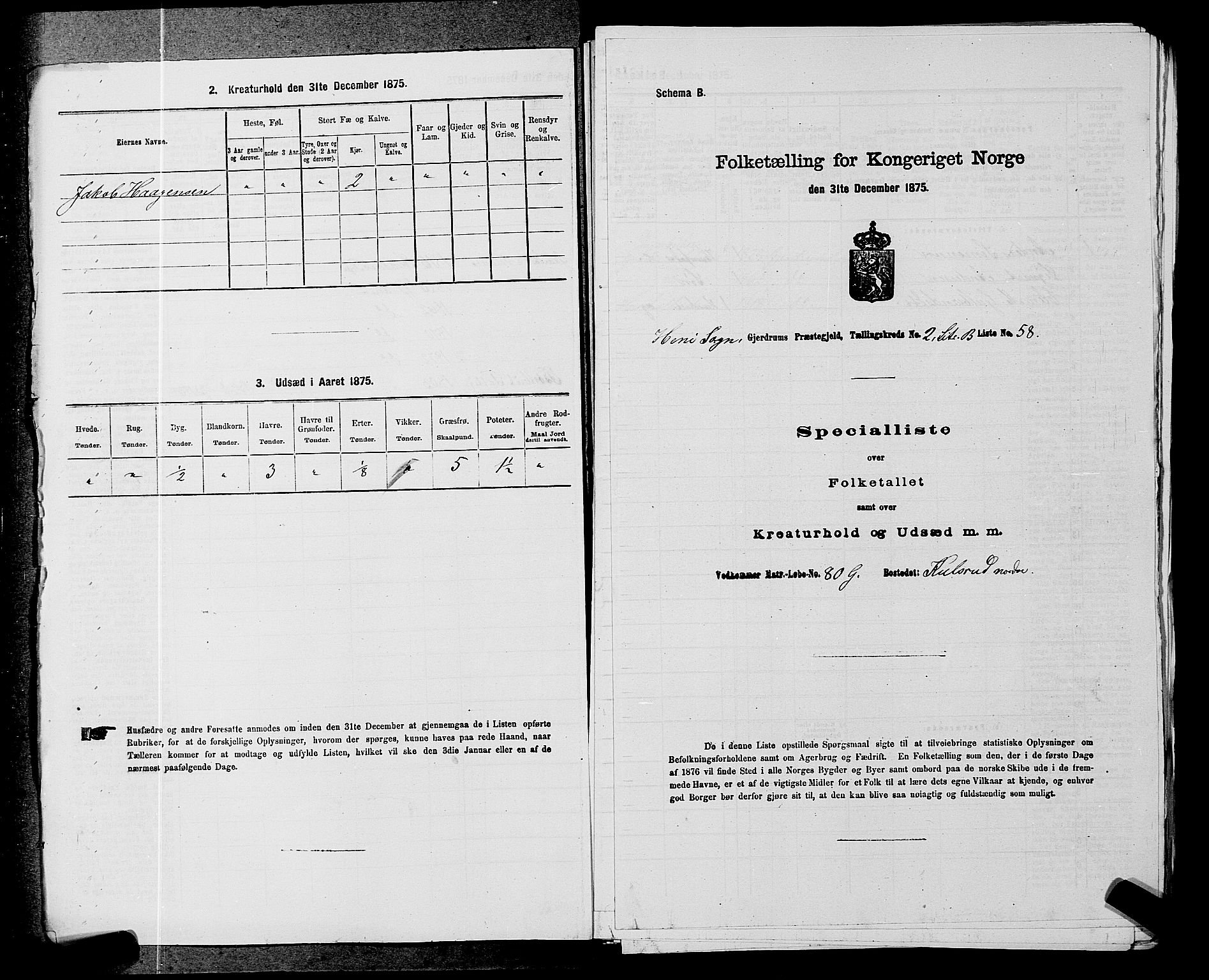 RA, 1875 census for 0234P Gjerdrum, 1875, p. 260