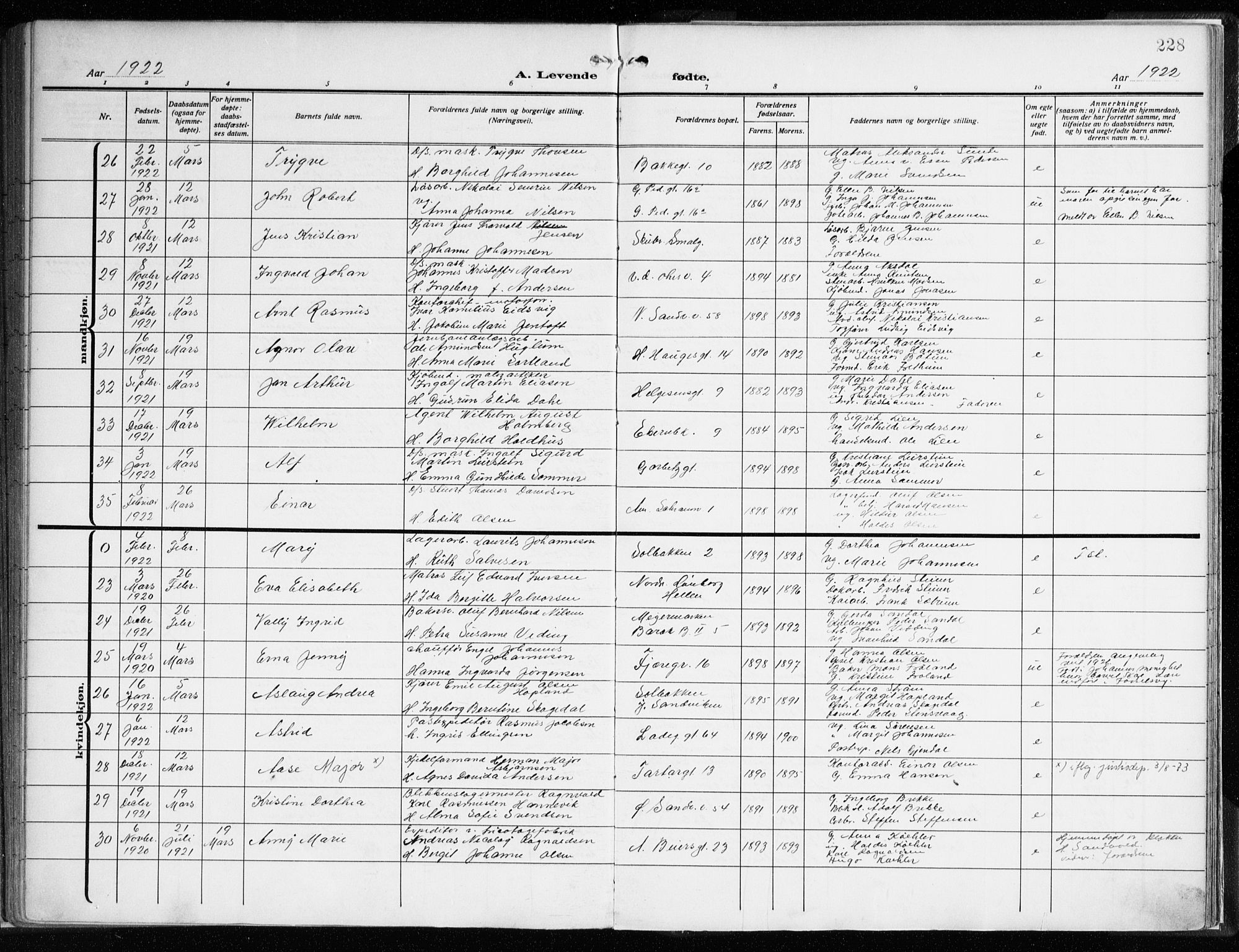 Sandviken Sokneprestembete, AV/SAB-A-77601/H/Ha/L0007: Parish register (official) no. B 4, 1912-1924, p. 228