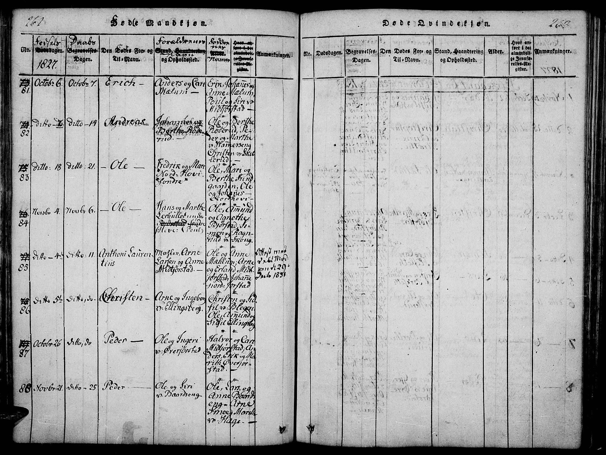 Fåberg prestekontor, SAH/PREST-086/H/Ha/Haa/L0003: Parish register (official) no. 3, 1818-1833, p. 262-263