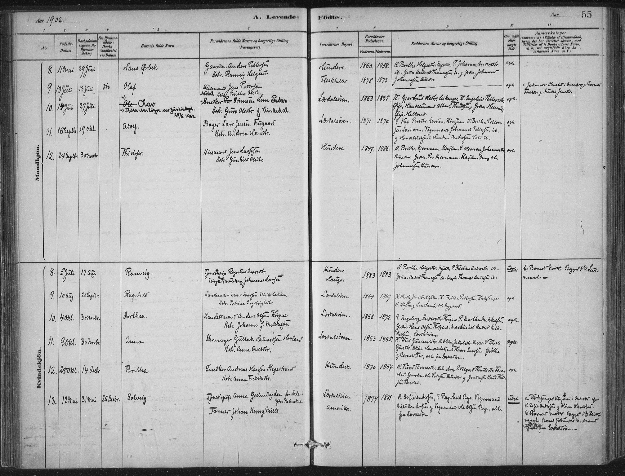 Lærdal sokneprestembete, SAB/A-81201: Parish register (official) no. D  1, 1878-1908, p. 55