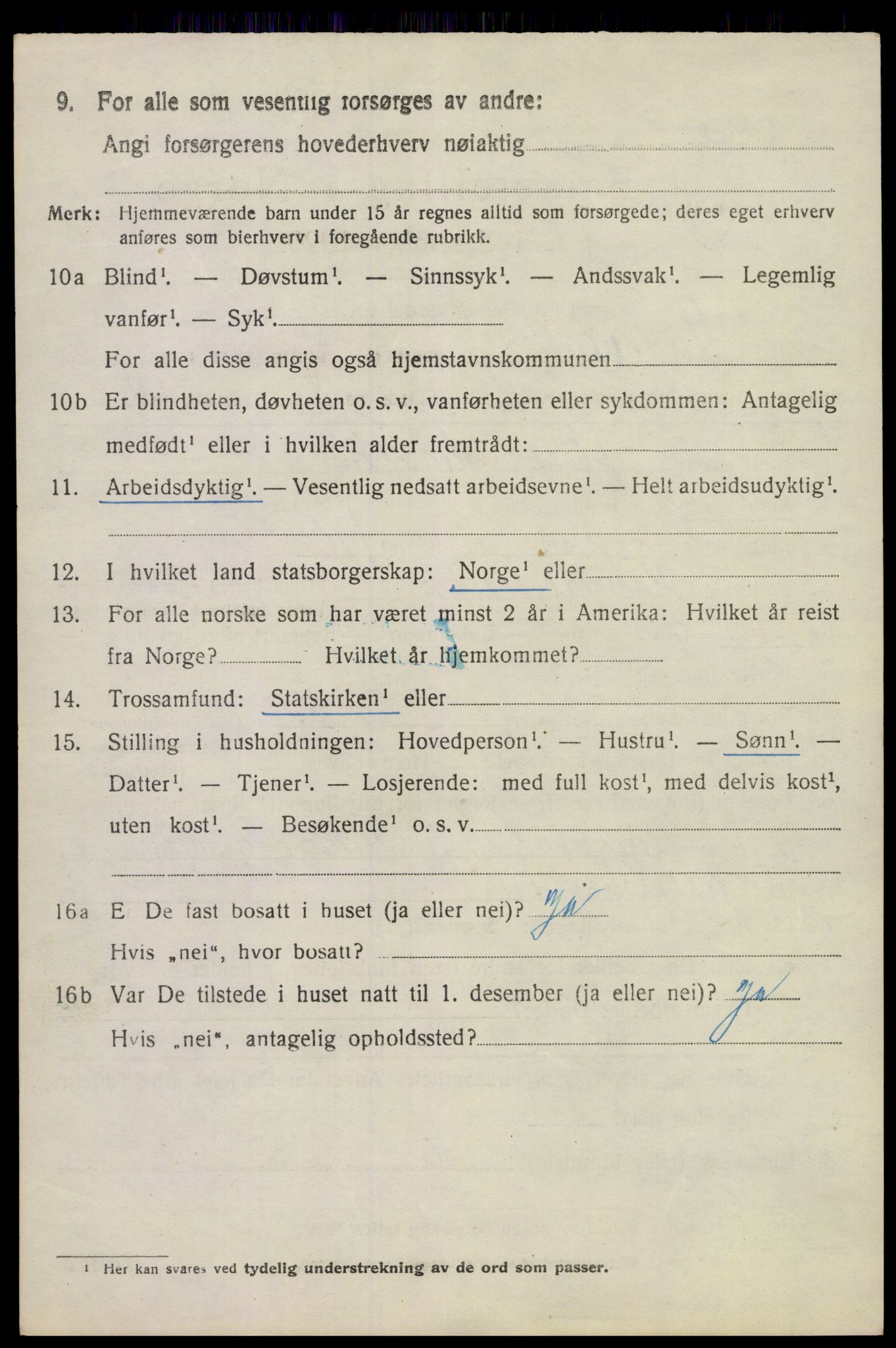 SAKO, 1920 census for Våle, 1920, p. 3133