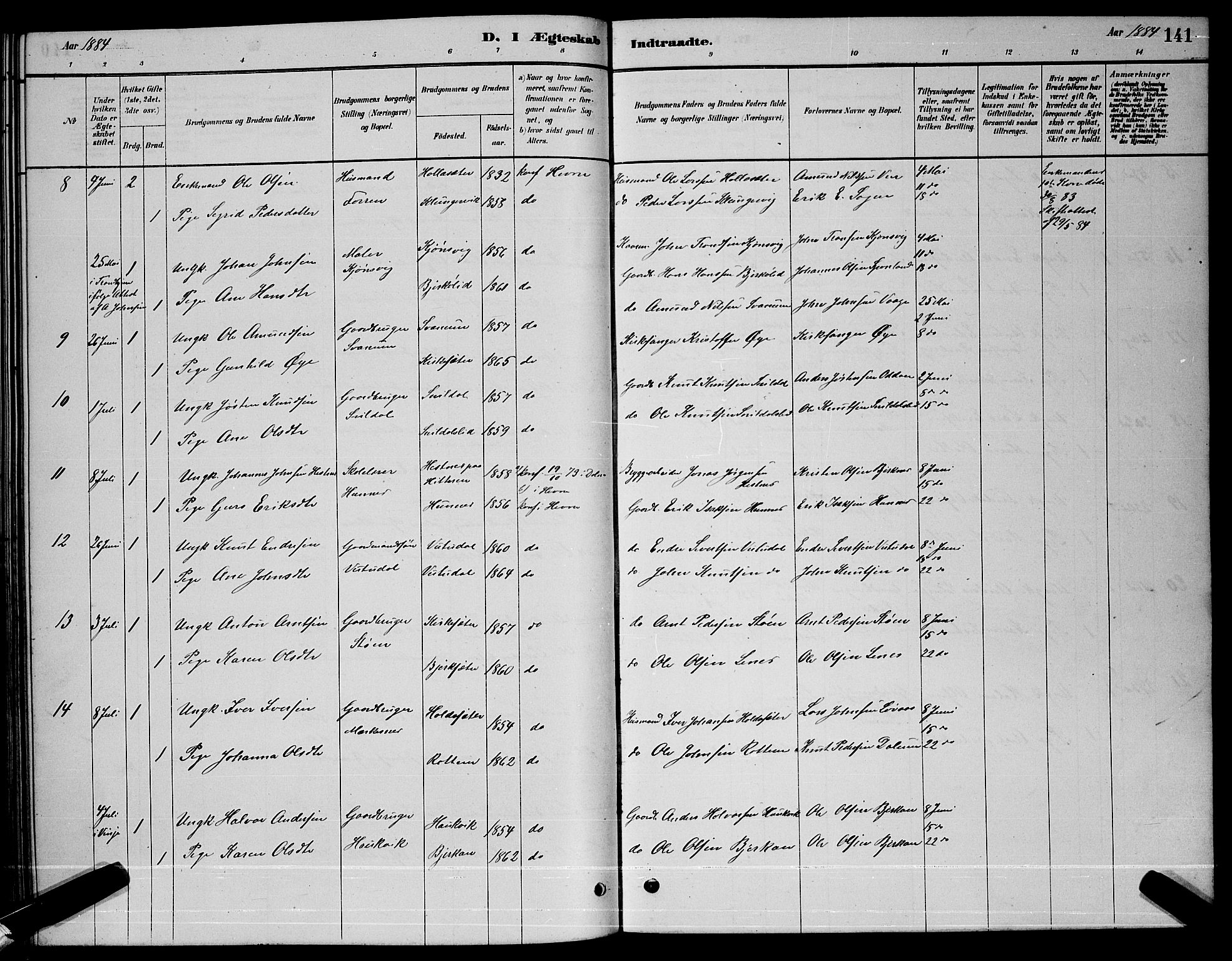 Ministerialprotokoller, klokkerbøker og fødselsregistre - Sør-Trøndelag, SAT/A-1456/630/L0504: Parish register (copy) no. 630C02, 1879-1898, p. 141