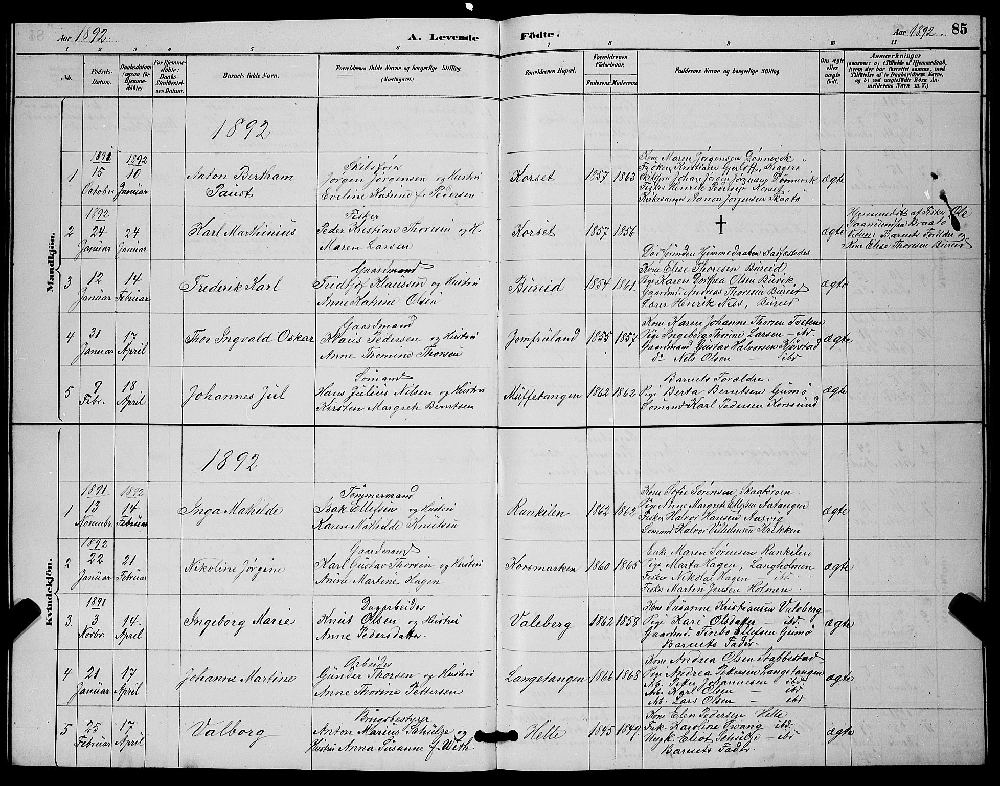 Skåtøy kirkebøker, SAKO/A-304/G/Ga/L0003: Parish register (copy) no. I 3, 1884-1898, p. 85