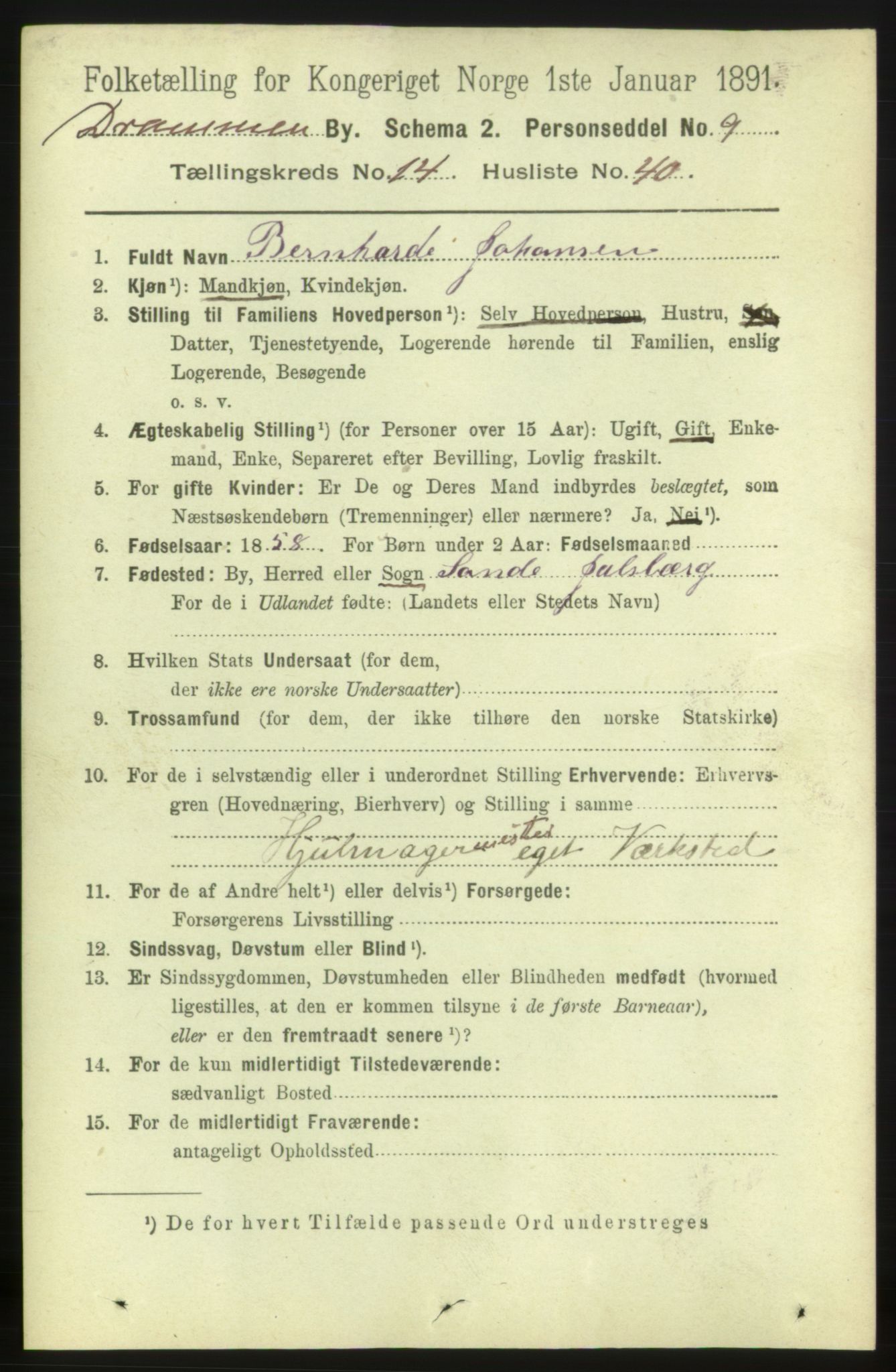 RA, 1891 census for 0602 Drammen, 1891, p. 10492