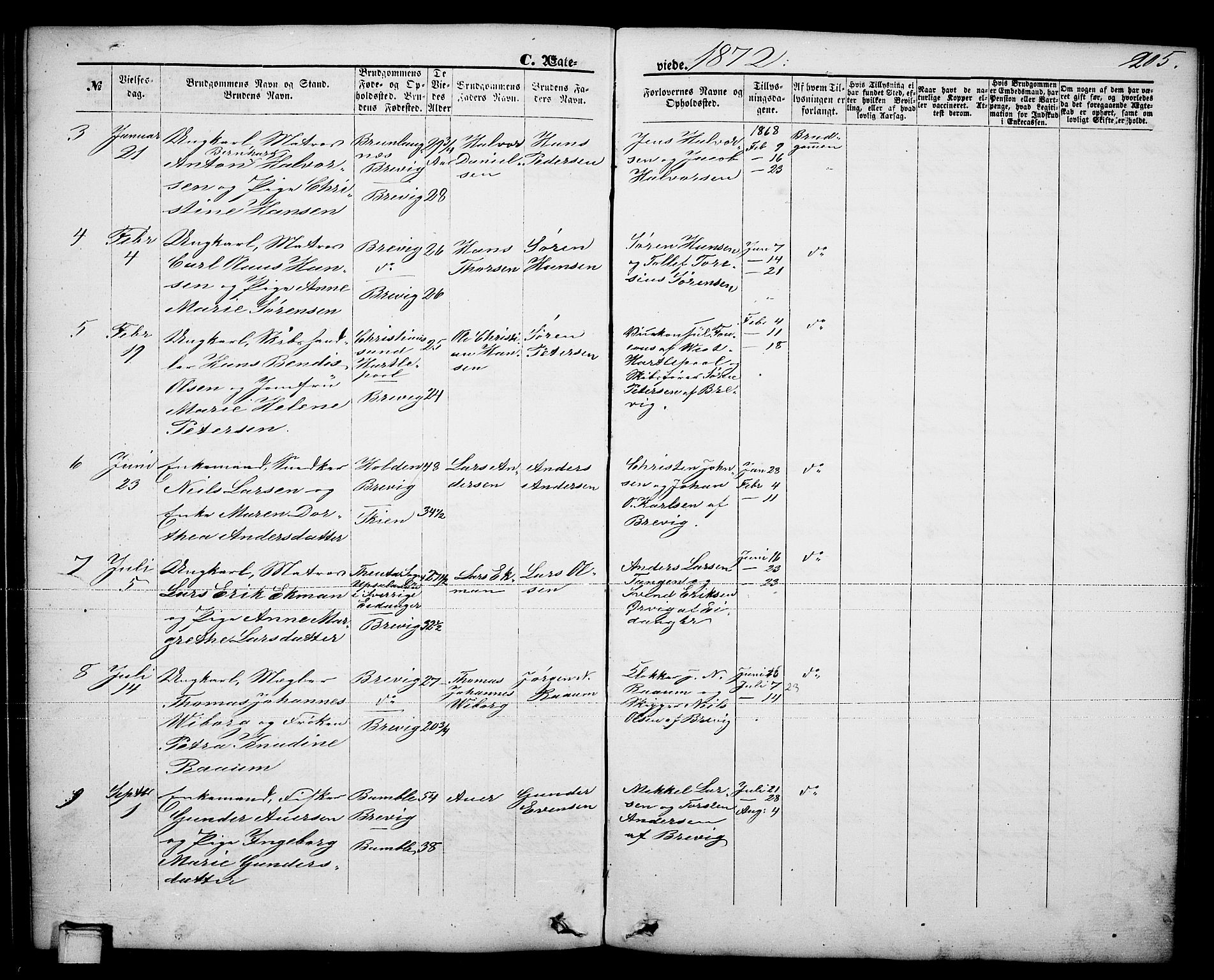 Brevik kirkebøker, AV/SAKO-A-255/G/Ga/L0003: Parish register (copy) no. 3, 1866-1881, p. 205