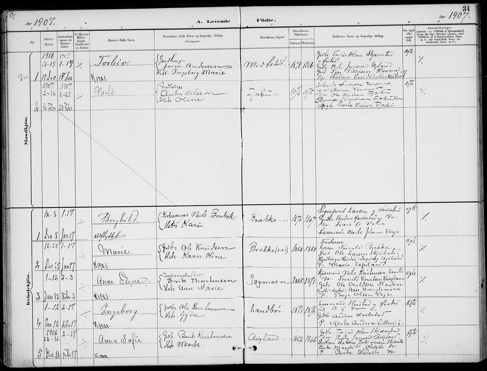 Austre Moland sokneprestkontor, SAK/1111-0001/F/Fa/Faa/L0011: Parish register (official) no. A 11, 1894-1915, p. 34