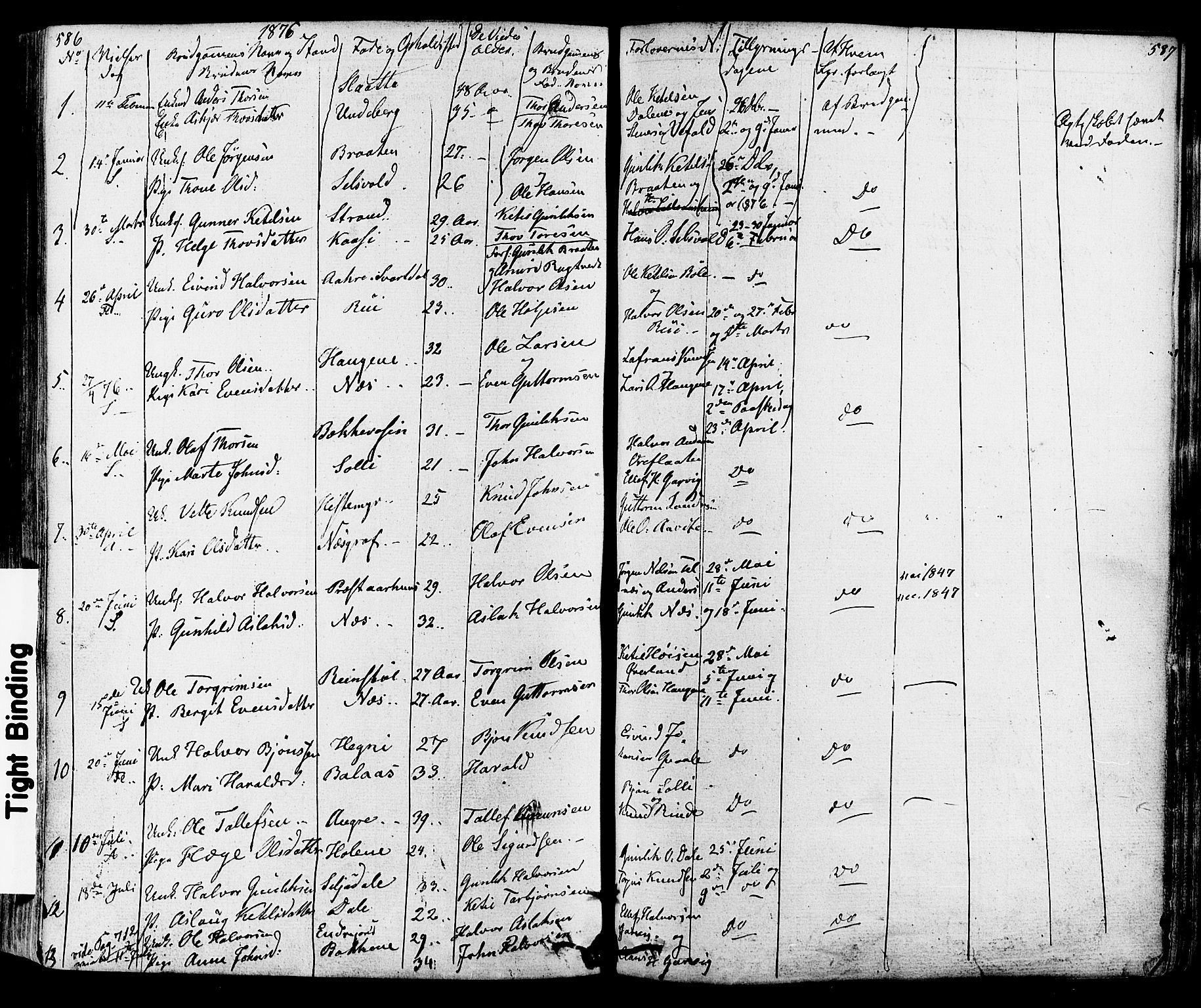 Seljord kirkebøker, SAKO/A-20/F/Fa/L0013: Parish register (official) no. I 13, 1866-1876, p. 586-587