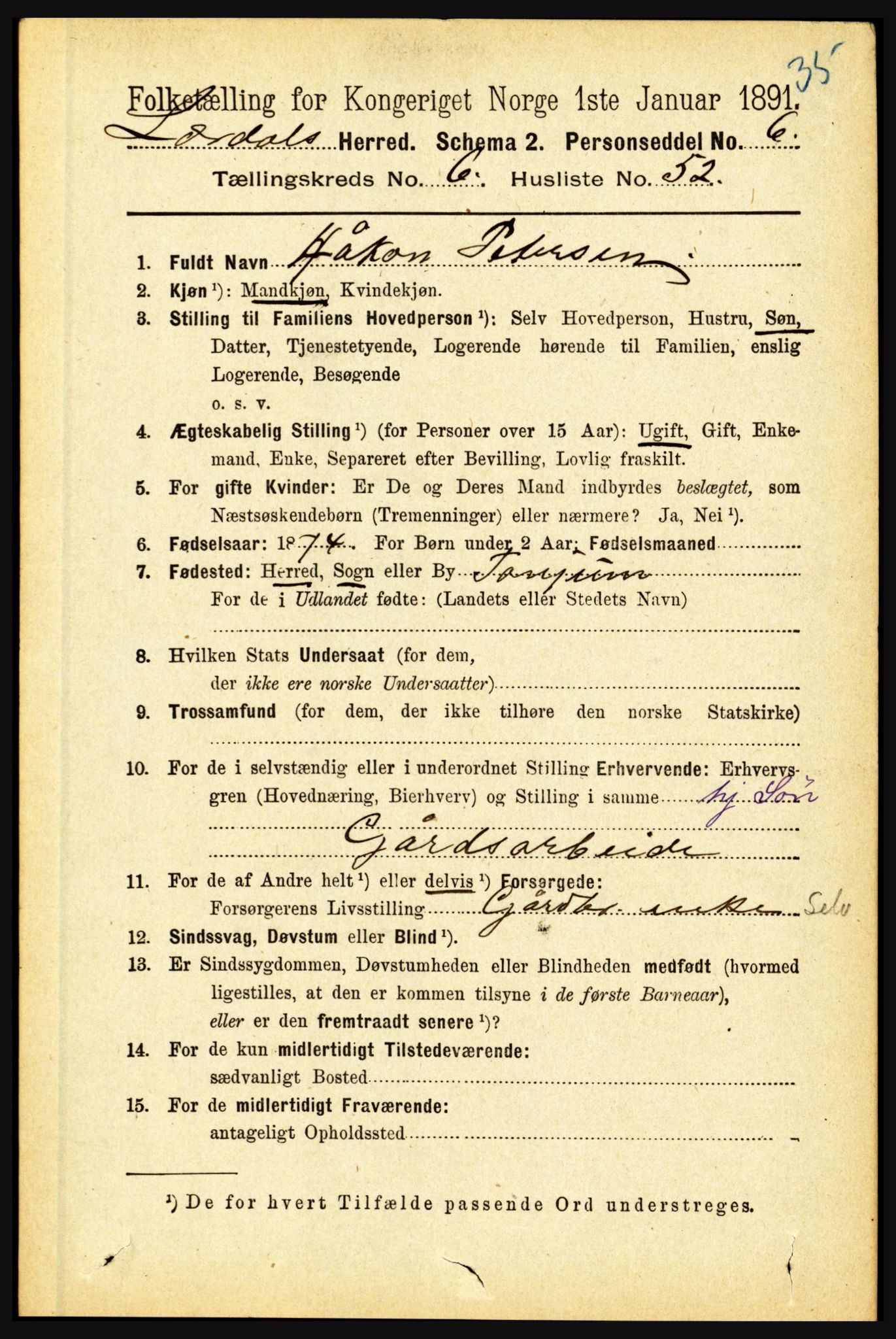 RA, 1891 census for 1422 Lærdal, 1891, p. 734