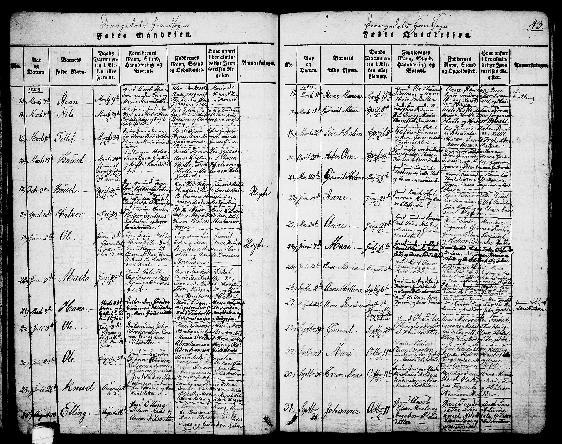 Drangedal kirkebøker, SAKO/A-258/G/Ga/L0001: Parish register (copy) no. I 1 /1, 1814-1856, p. 43