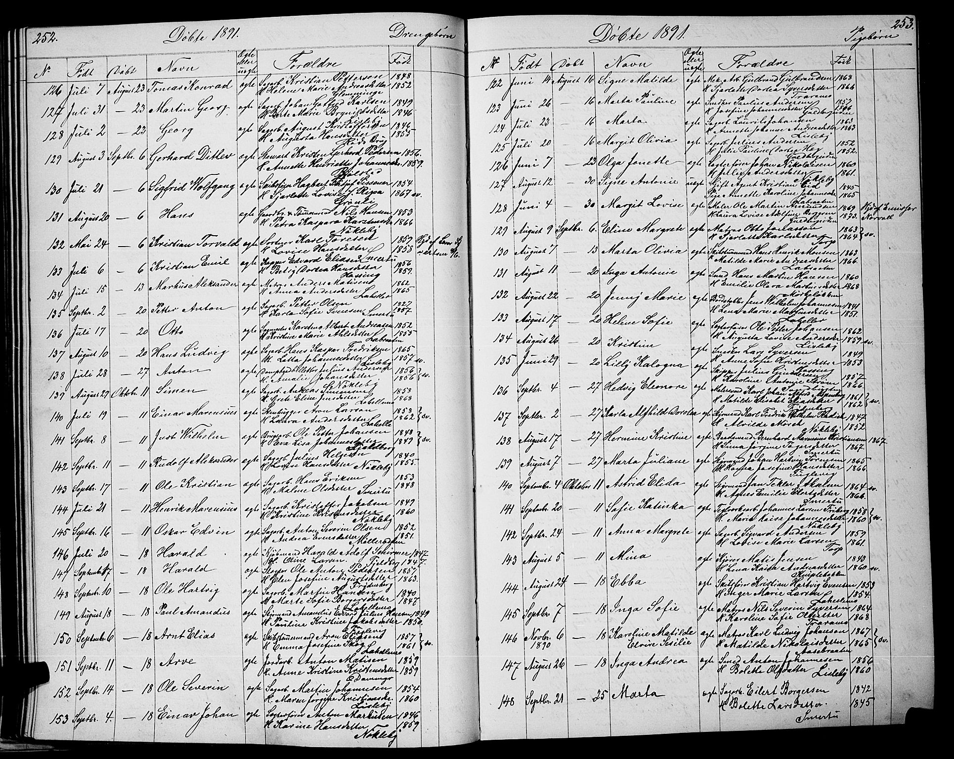 Glemmen prestekontor Kirkebøker, AV/SAO-A-10908/G/Ga/L0005: Parish register (copy) no. 5, 1876-1893, p. 252-253