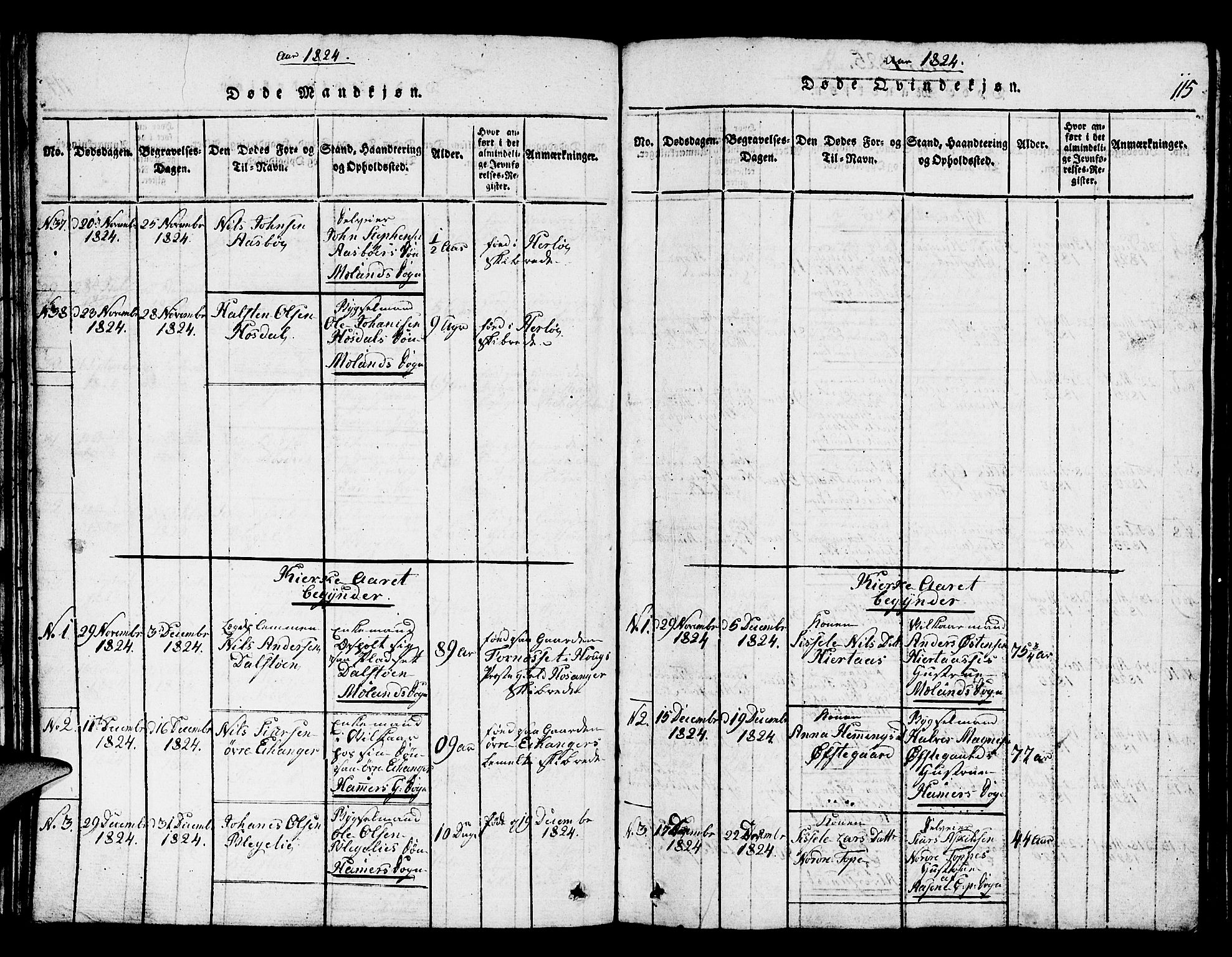 Hamre sokneprestembete, SAB/A-75501/H/Ha/Hab: Parish register (copy) no. A 1, 1816-1826, p. 115