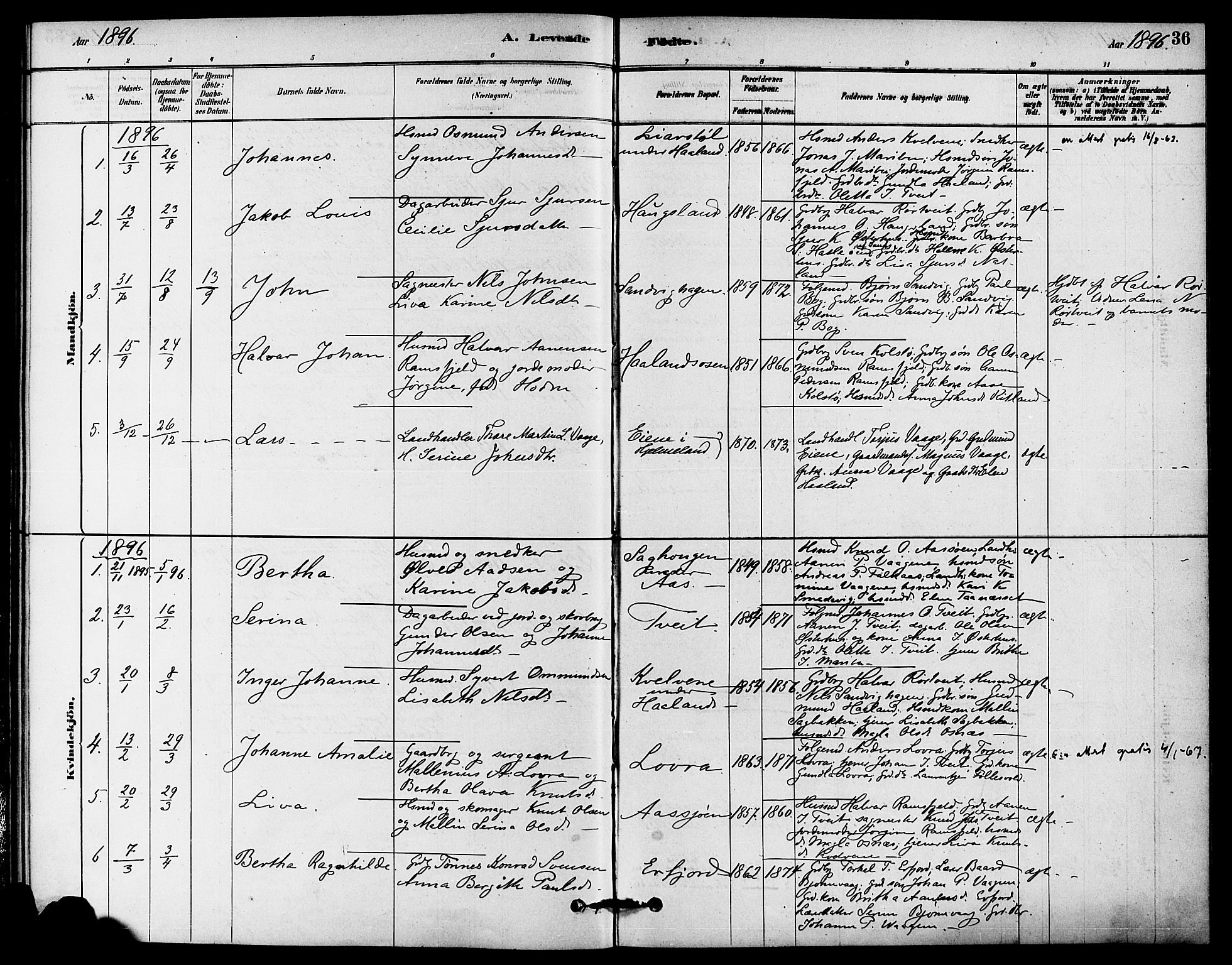 Jelsa sokneprestkontor, SAST/A-101842/01/IV: Parish register (official) no. A 9, 1878-1898, p. 36