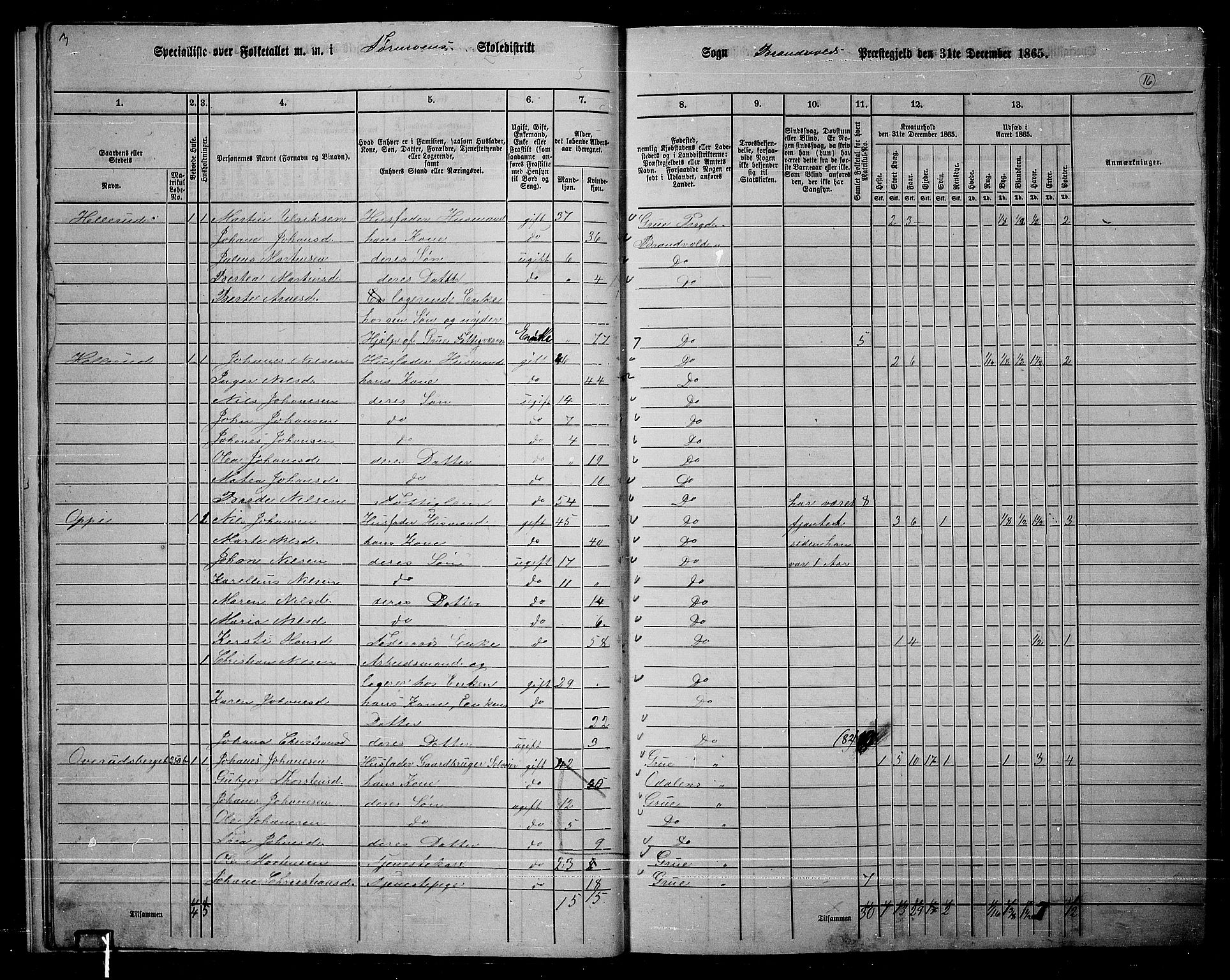 RA, 1865 census for Brandval, 1865, p. 15