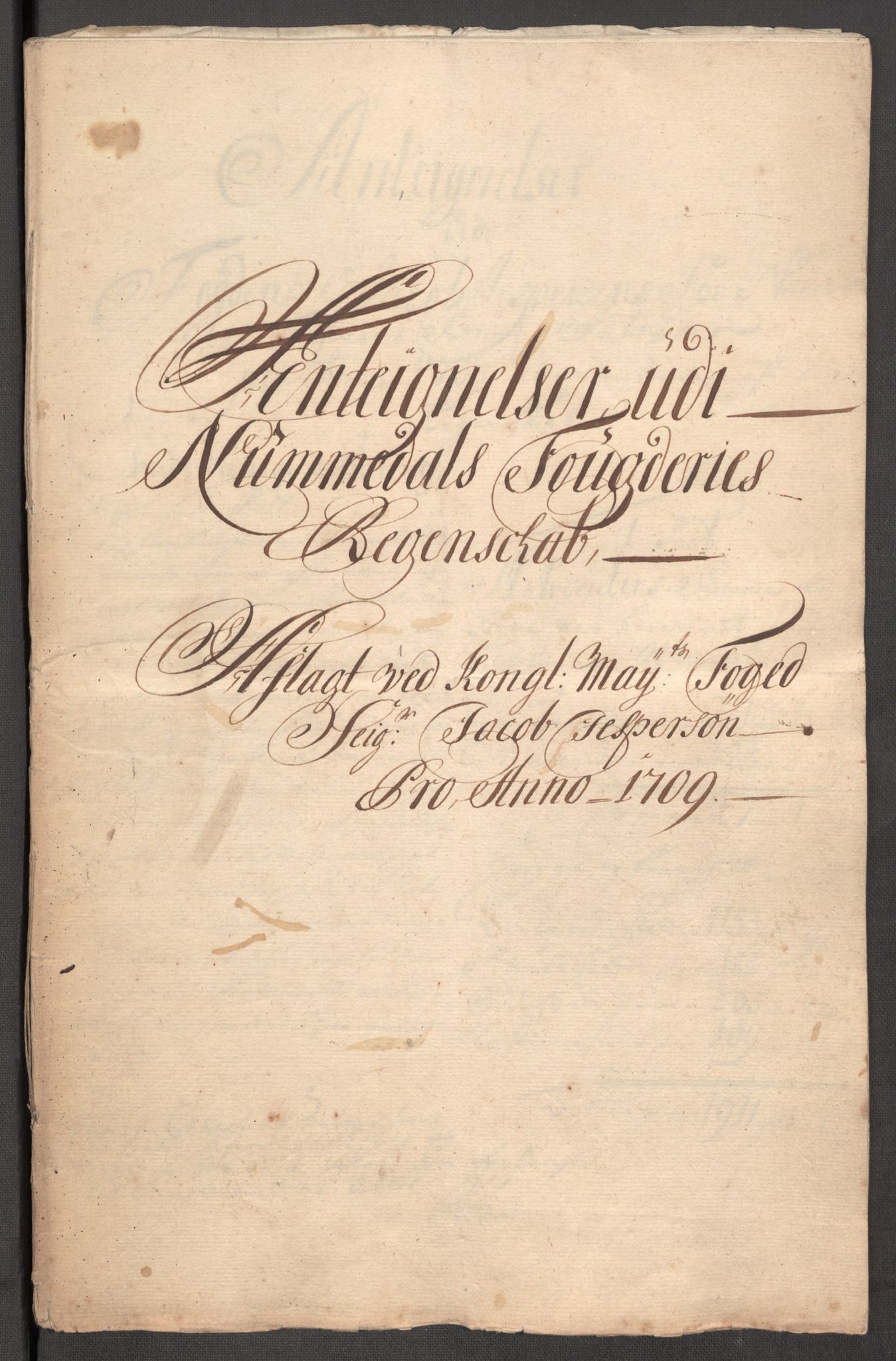 Rentekammeret inntil 1814, Reviderte regnskaper, Fogderegnskap, RA/EA-4092/R64/L4431: Fogderegnskap Namdal, 1709-1710, p. 225
