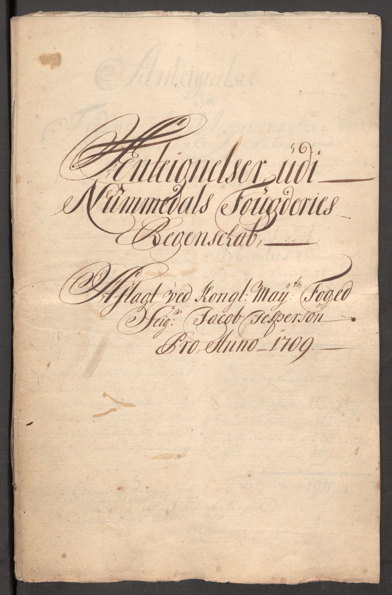 Rentekammeret inntil 1814, Reviderte regnskaper, Fogderegnskap, AV/RA-EA-4092/R64/L4431: Fogderegnskap Namdal, 1709-1710, p. 225