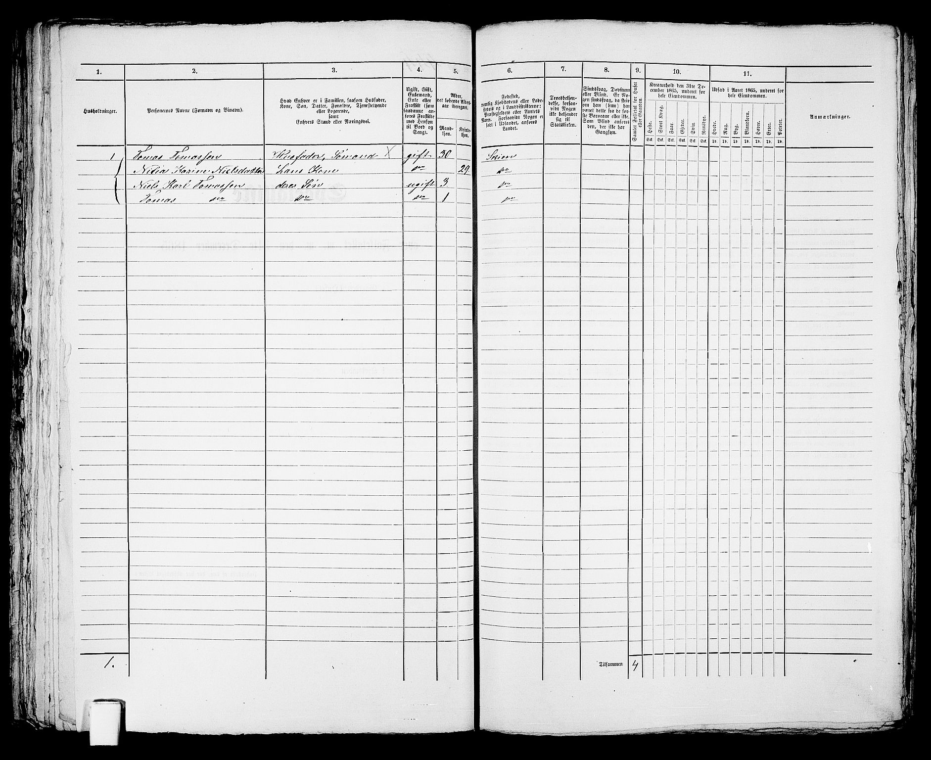 RA, 1865 census for Skien, 1865, p. 914