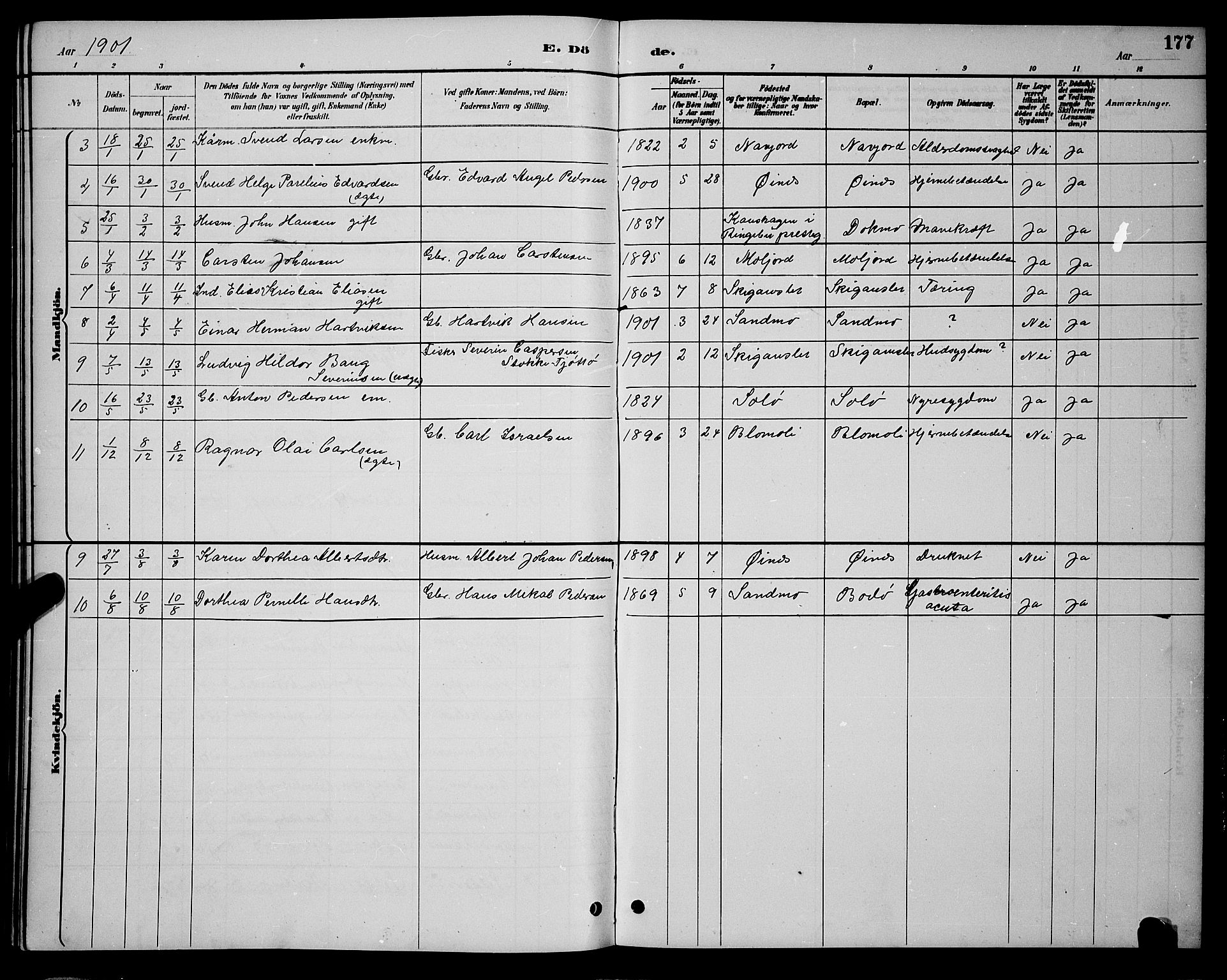 Ministerialprotokoller, klokkerbøker og fødselsregistre - Nordland, AV/SAT-A-1459/846/L0654: Parish register (copy) no. 846C04, 1887-1901, p. 177