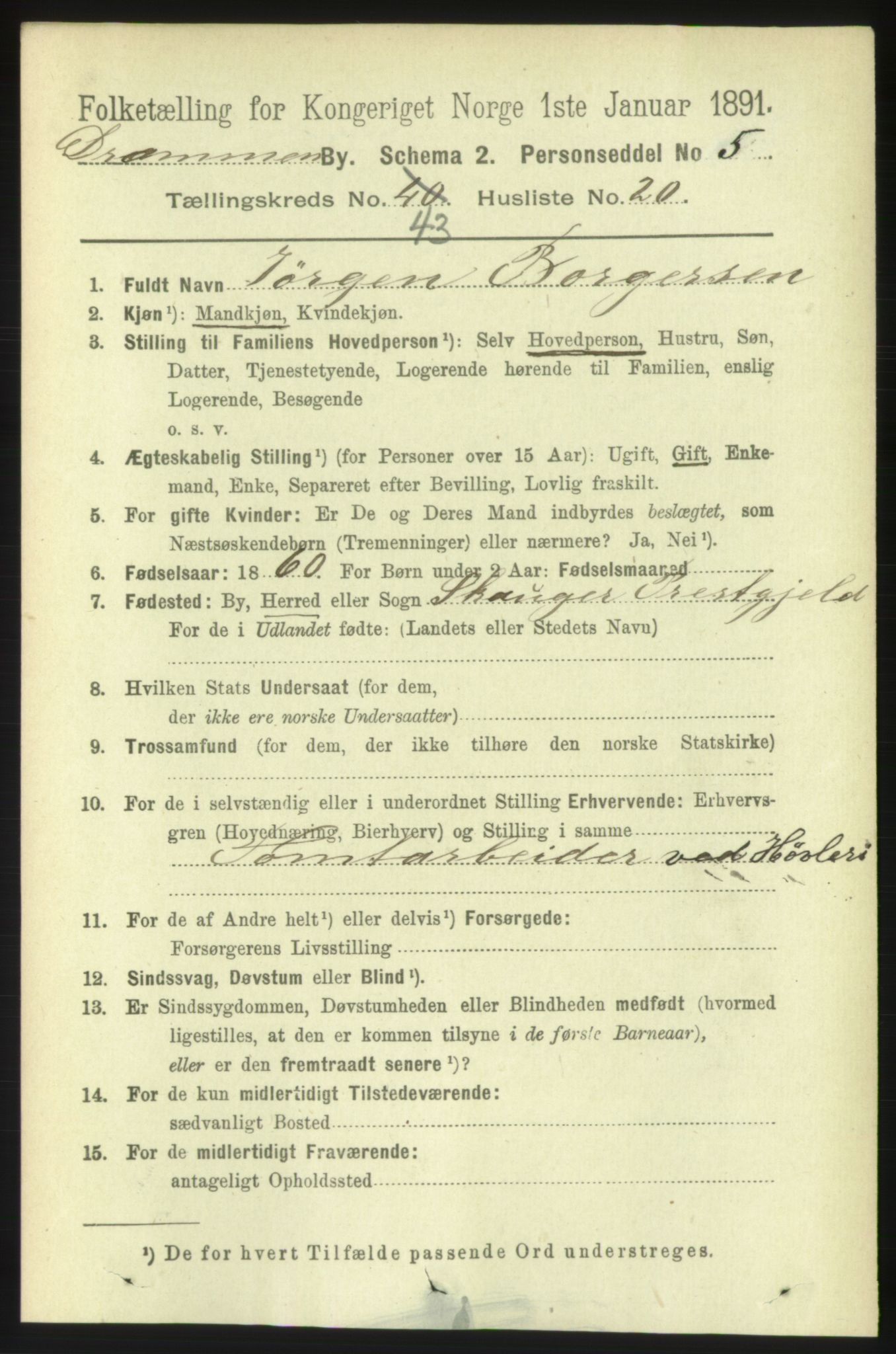 RA, 1891 census for 0602 Drammen, 1891, p. 25382