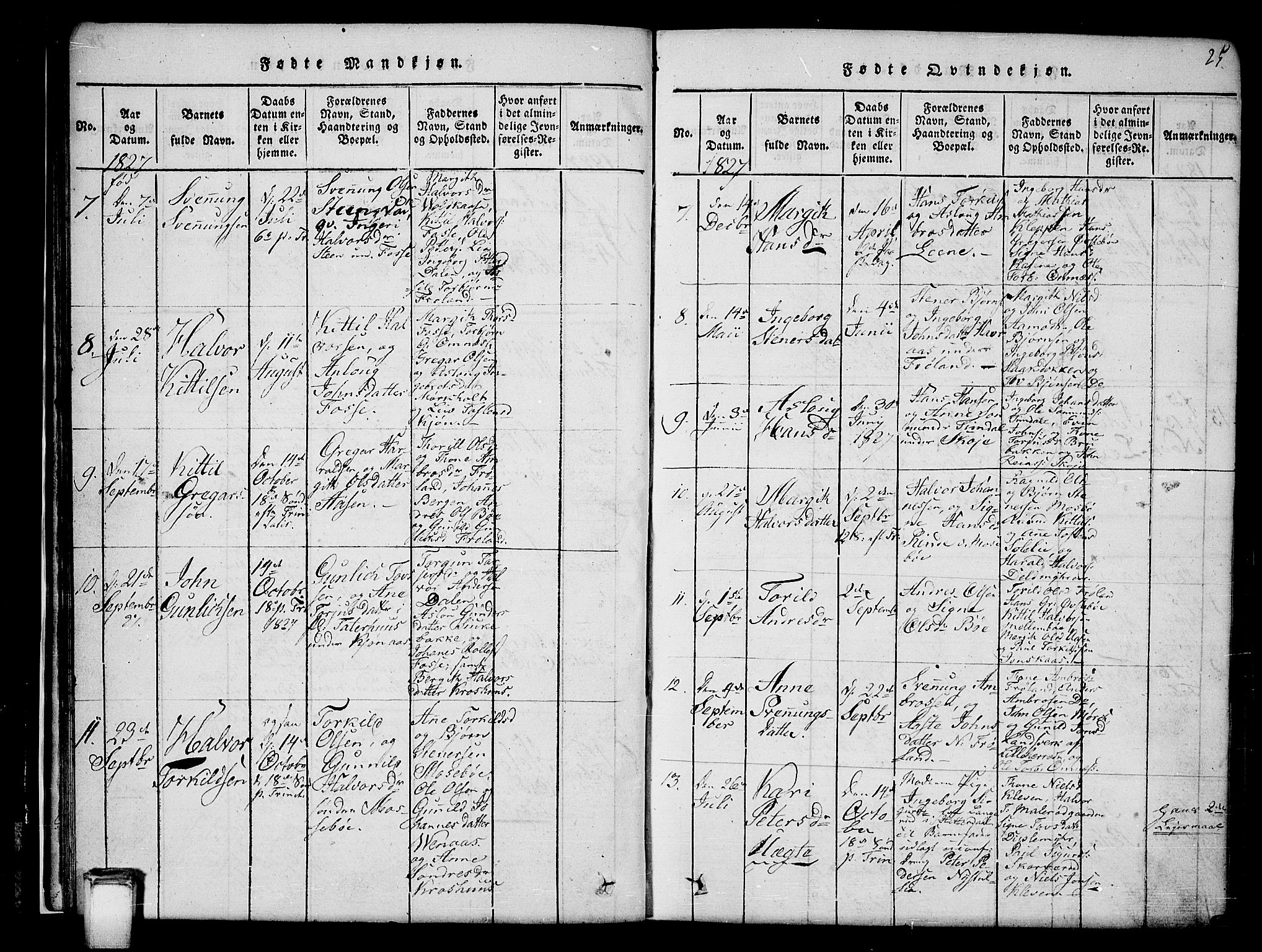 Hjartdal kirkebøker, SAKO/A-270/G/Gb/L0001: Parish register (copy) no. II 1, 1815-1842, p. 25